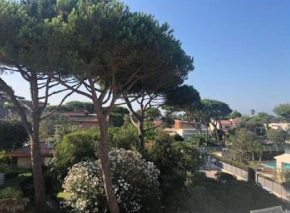 Appartamento signorile, luminosissima vista mare
