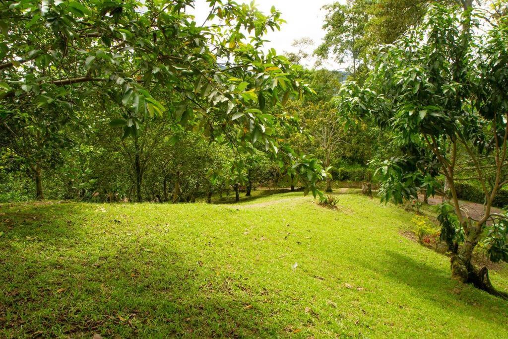 Eco Cabañas San Lorenzo