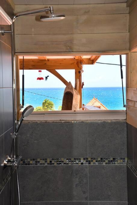 Baie du Diamant view 5