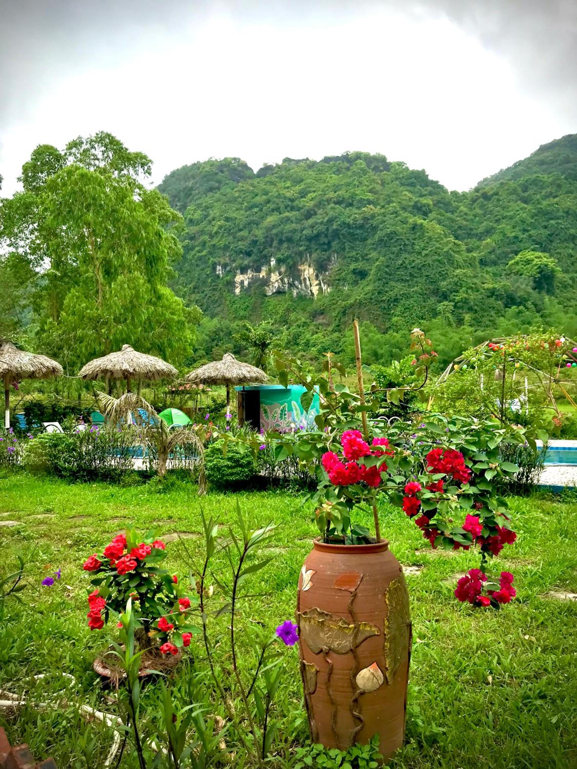 Woodstock Jungle Camp view 5