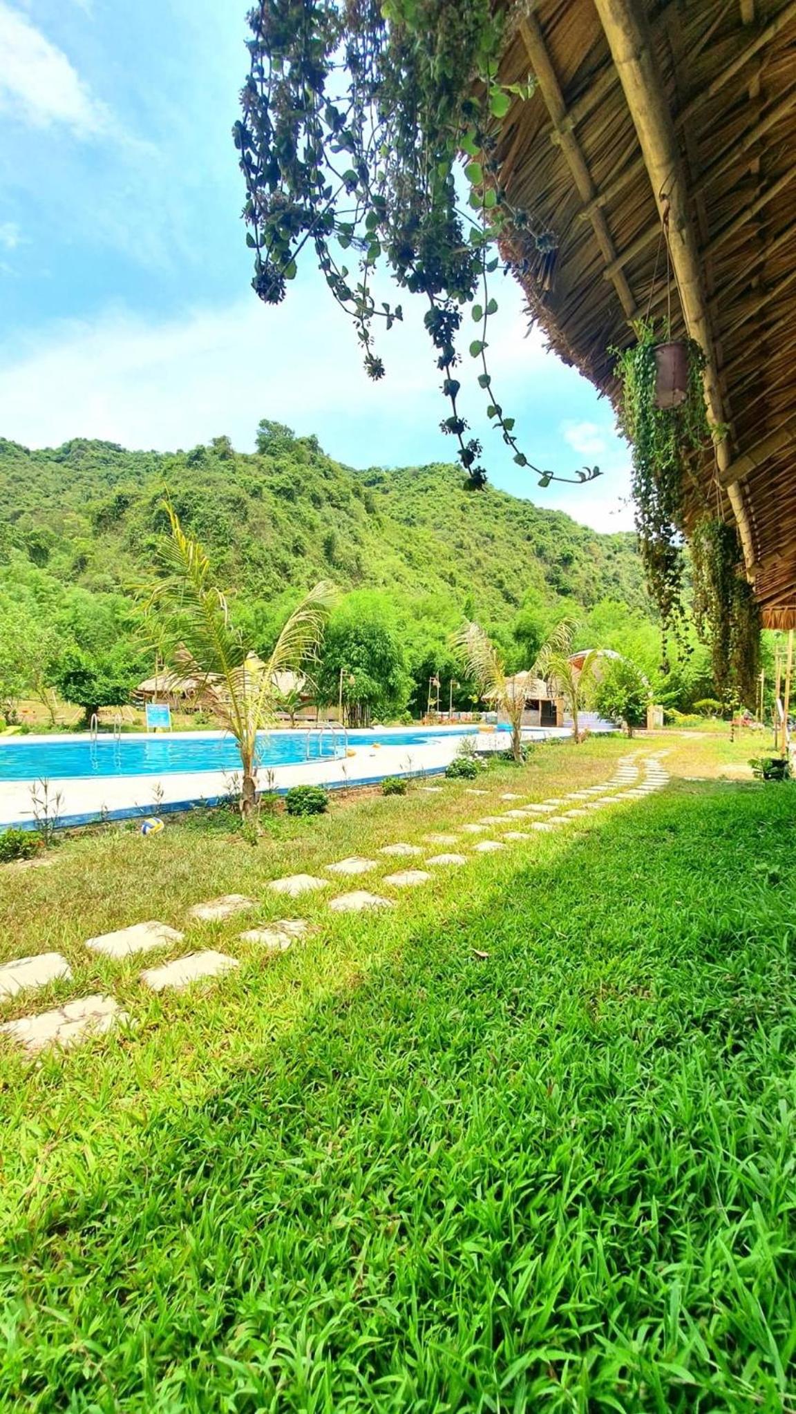 Woodstock Jungle Camp view 4