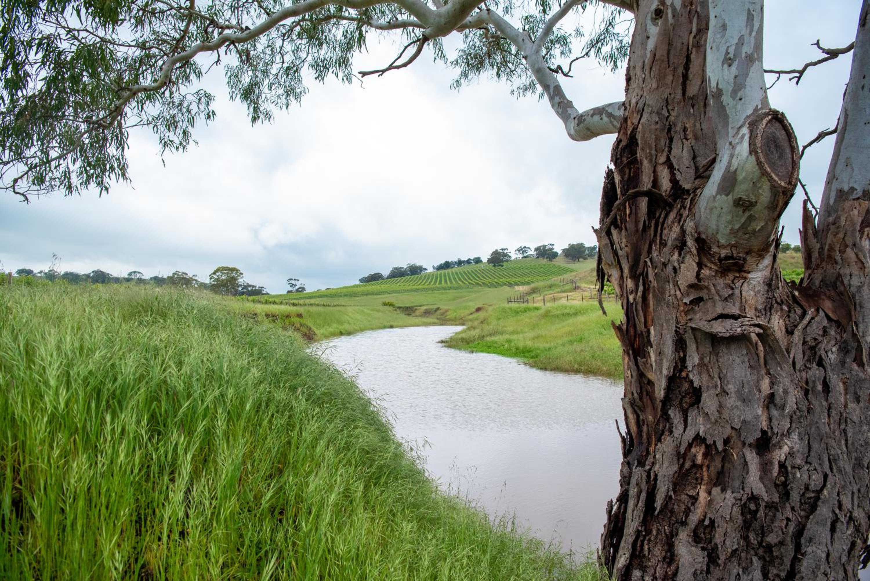 Triple Creek Guest House - Barossa Region
