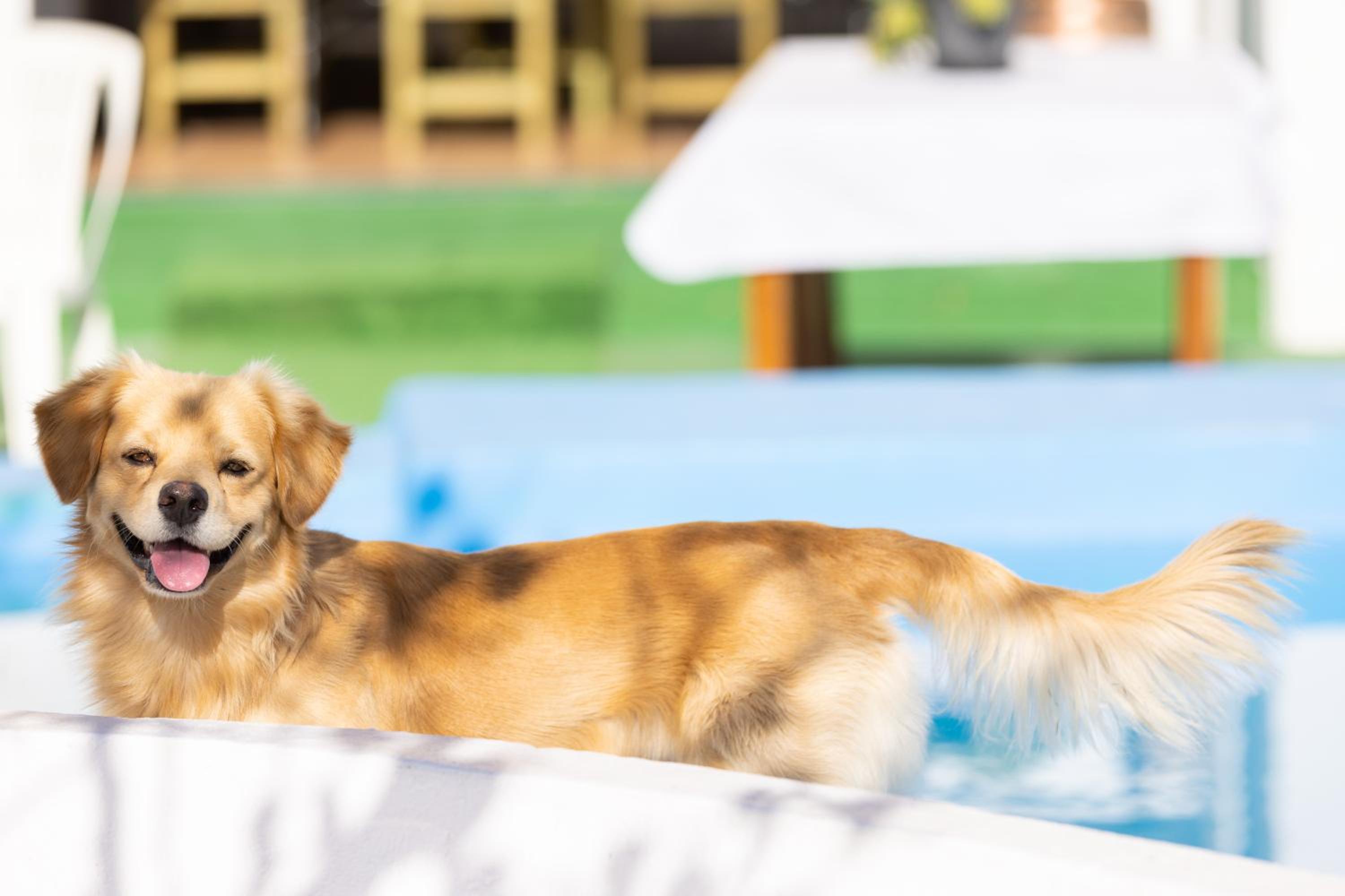 Mountain, Seaviews, and Pool Relax By Sunkeyrents view 2