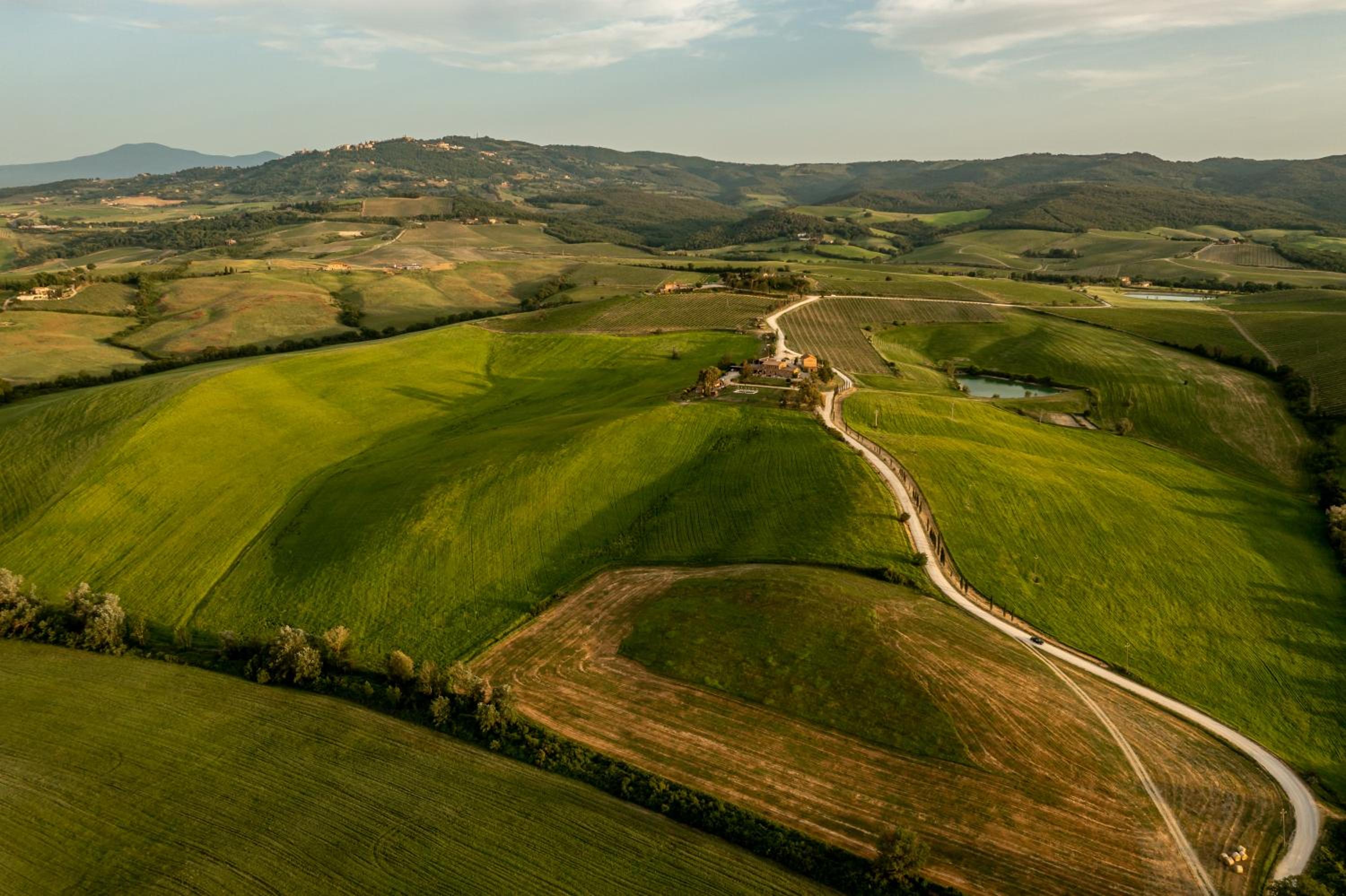 Wine Resort Colsereno
