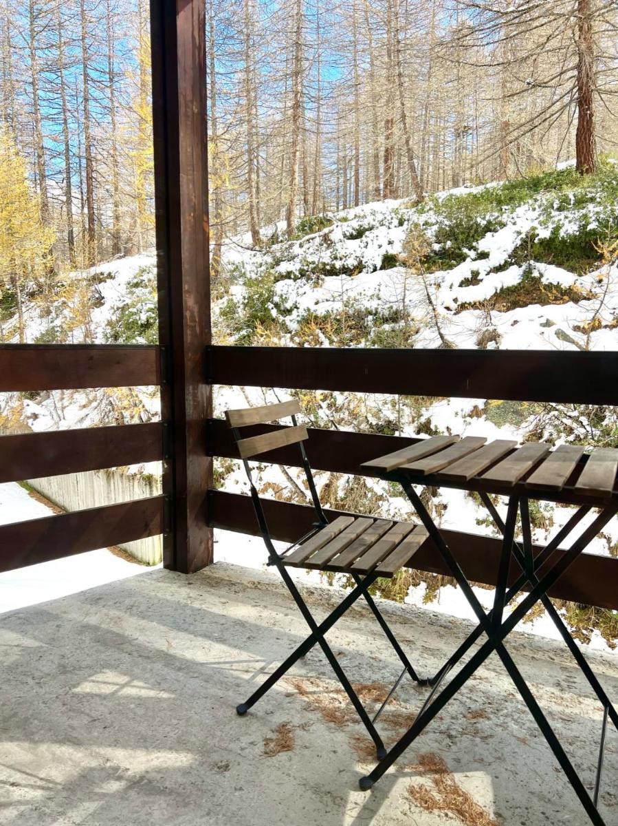 Hotel Pine Tree Studio - Image 1