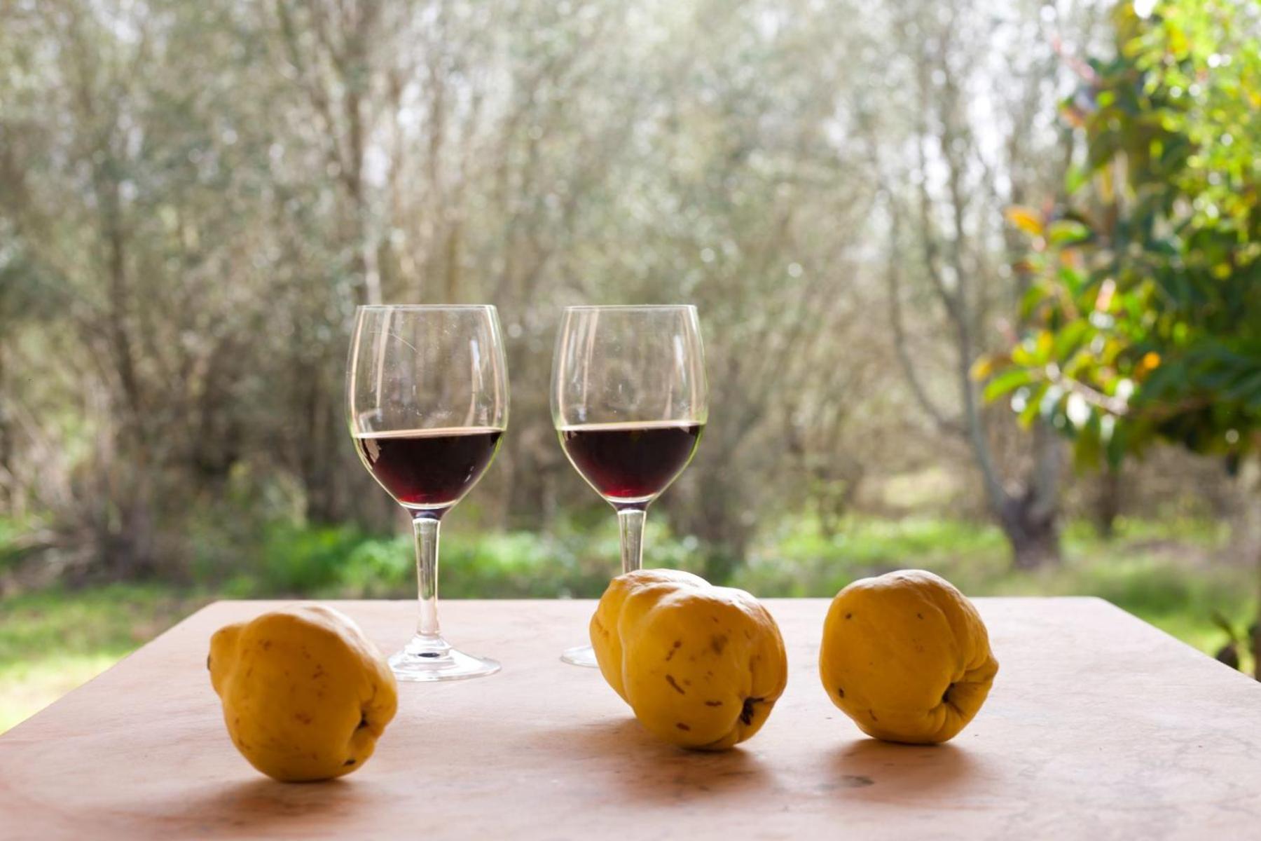 Finca Son Sureda Agroturismo