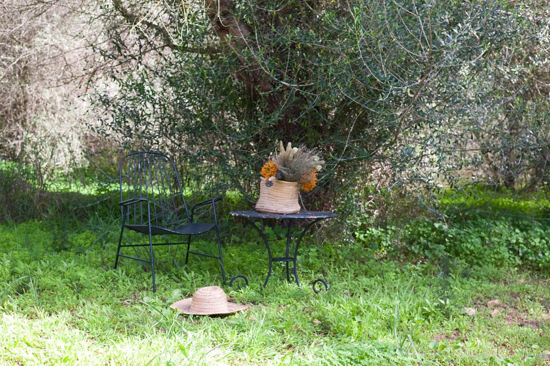 Finca Son Sureda Agroturismo