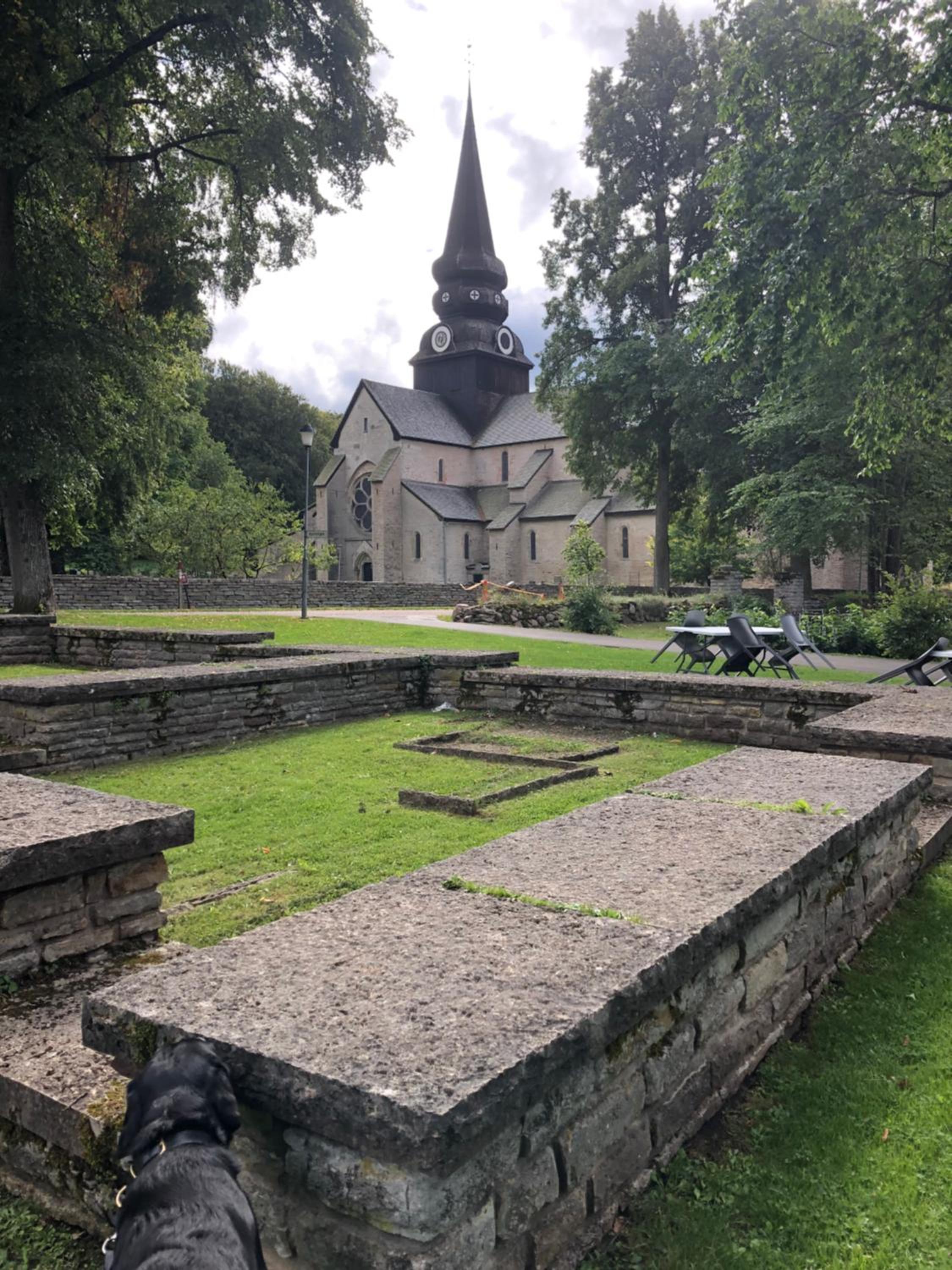 Photo 21