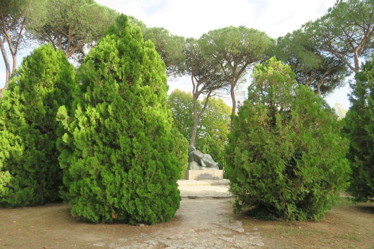 Photo 31