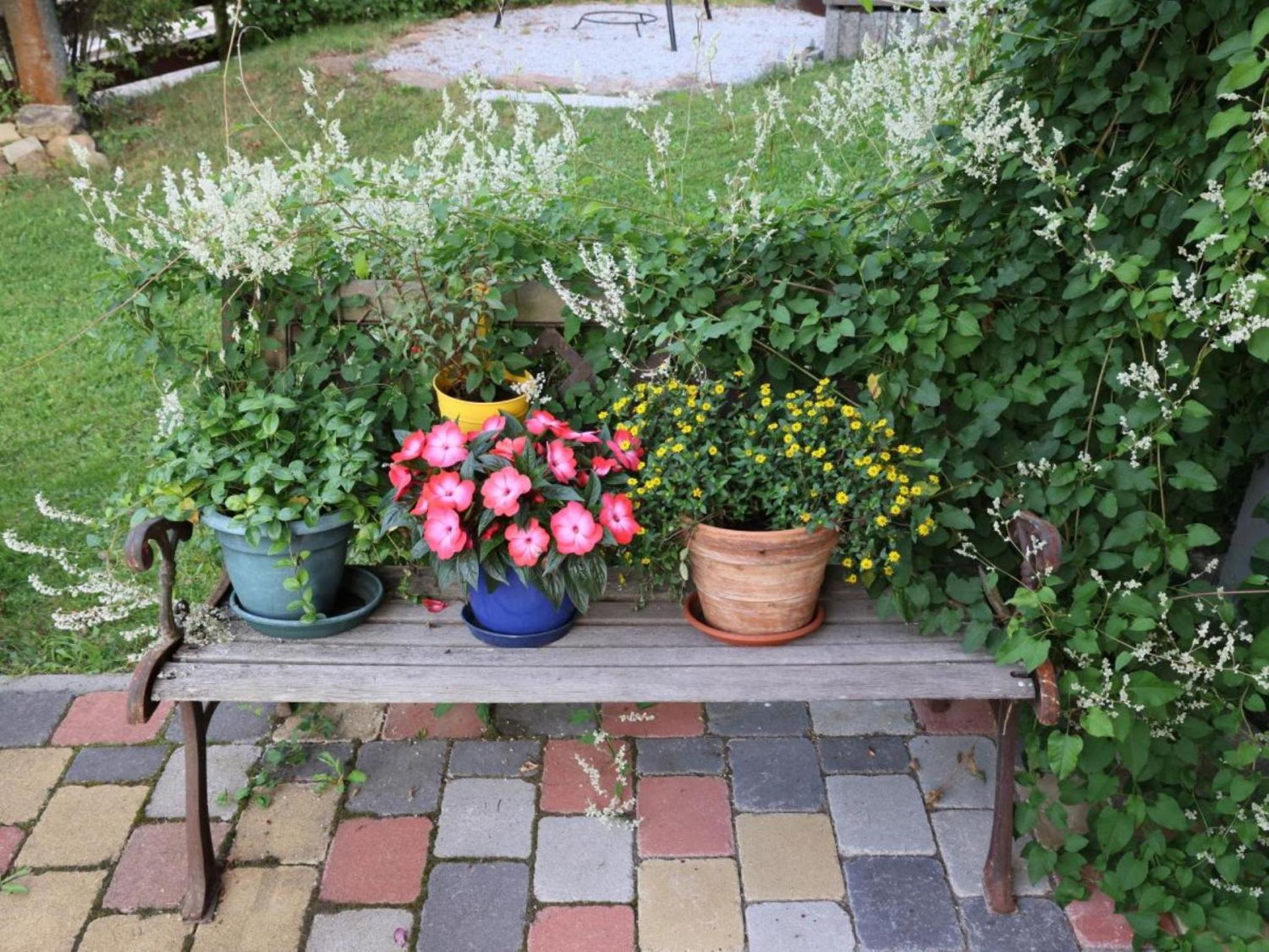 Ferienwohnung Bärnbachl