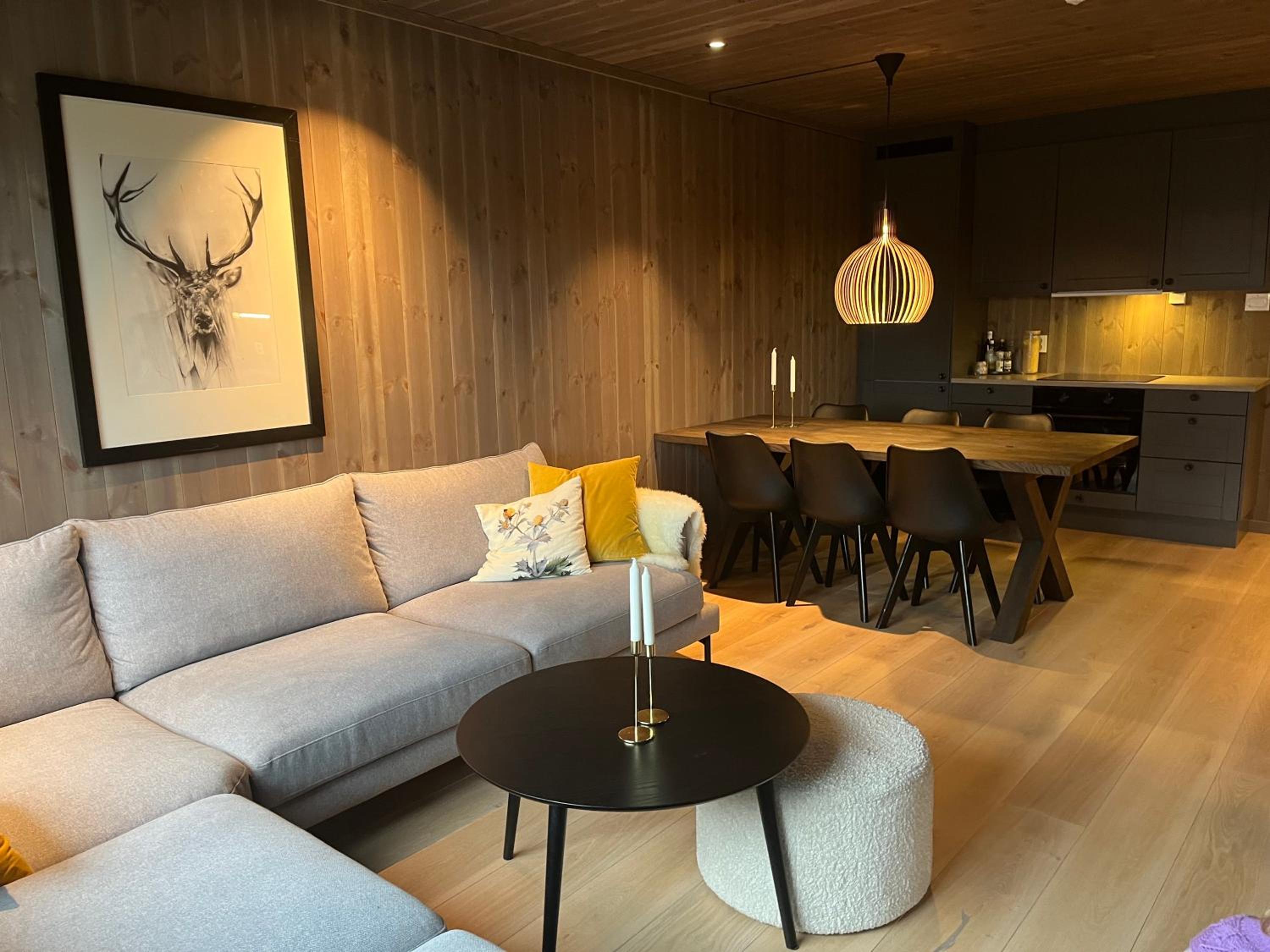New and stylish apartment central in Geilo view 4