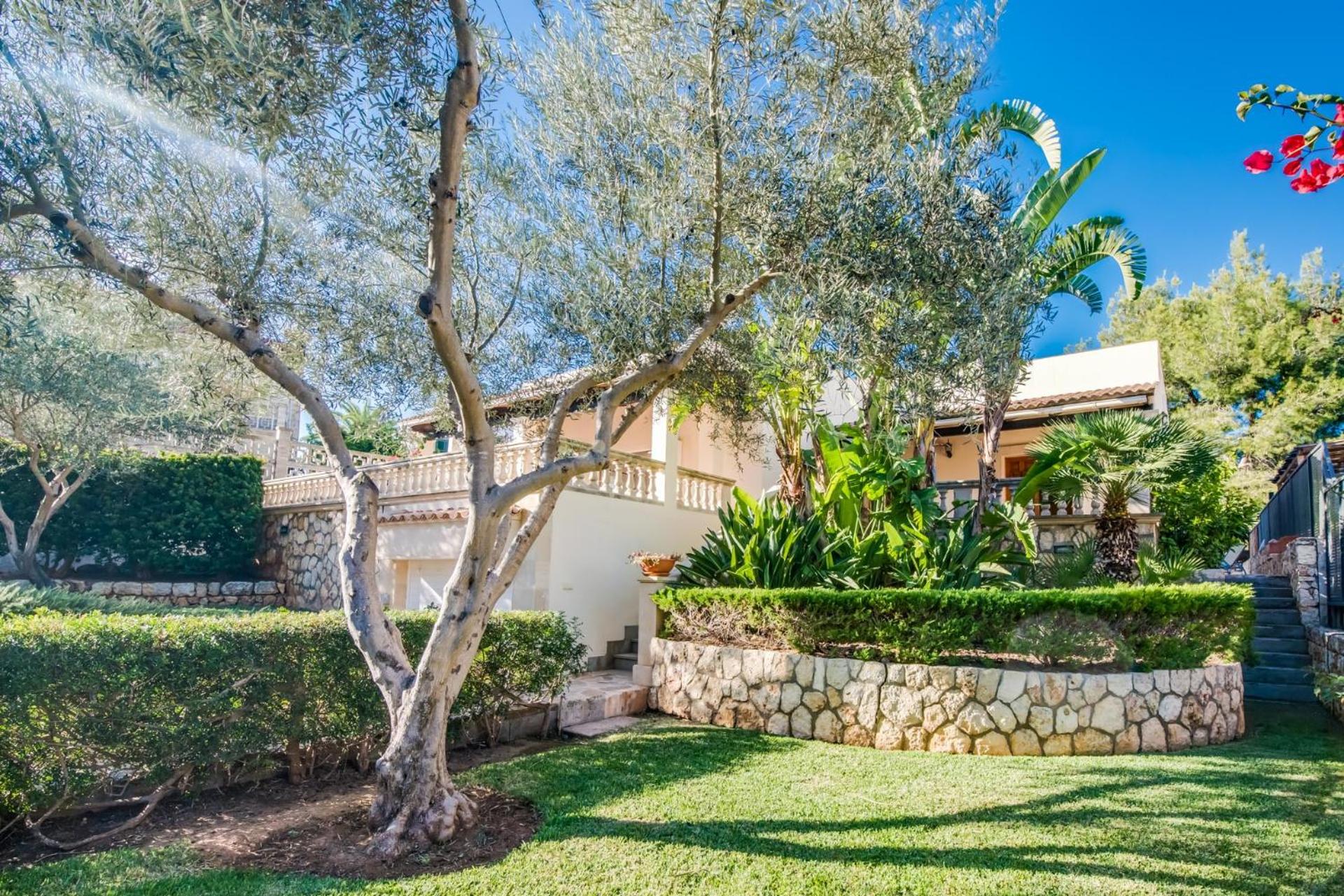 Ideal Property Mallorca - Can Jaume photo 3