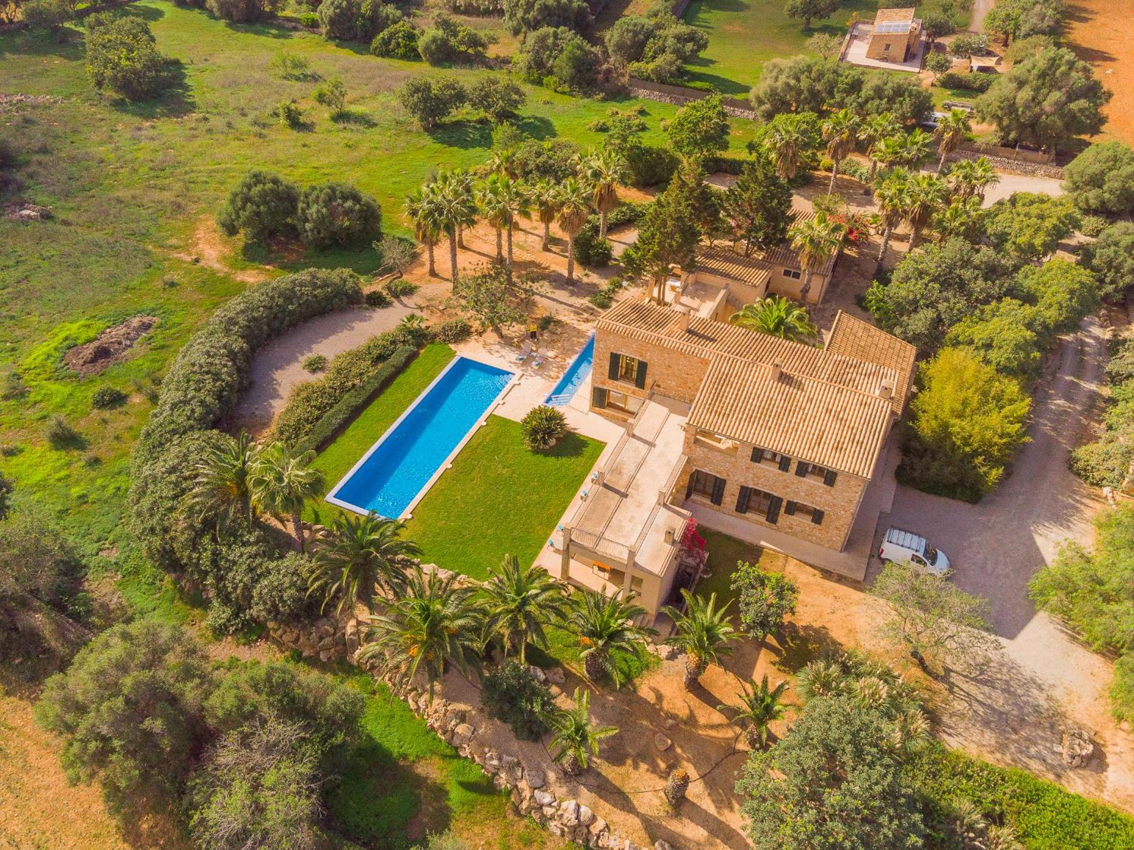 Finca Melis