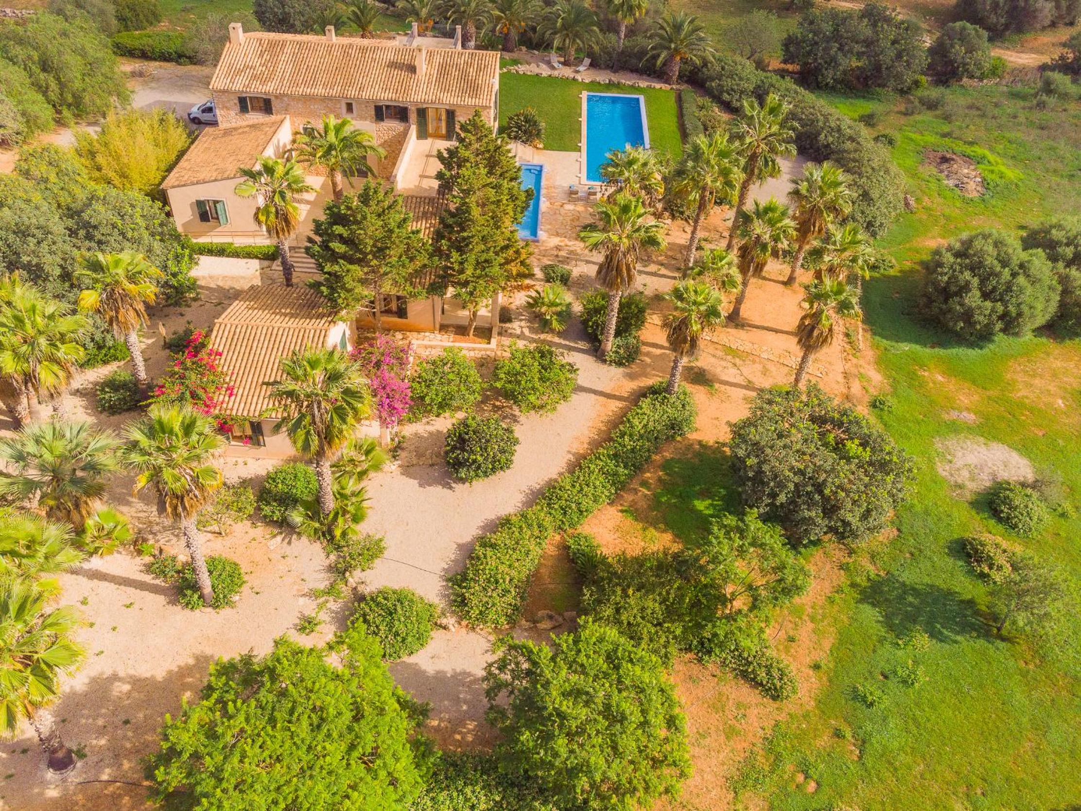 Finca Melis