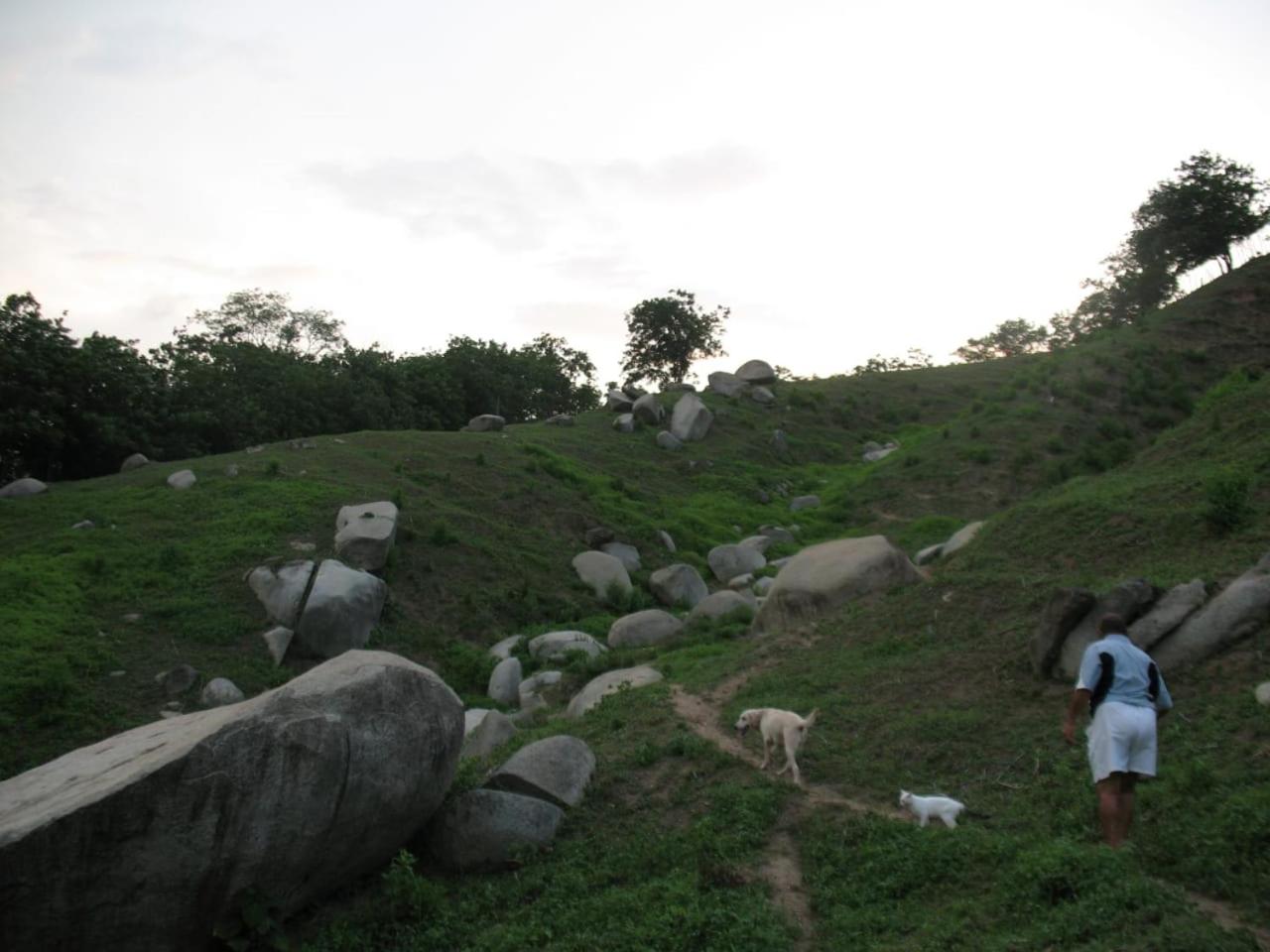 Photo 48
