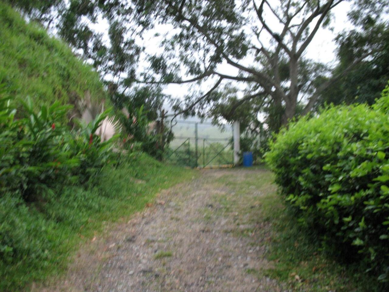 Photo 42