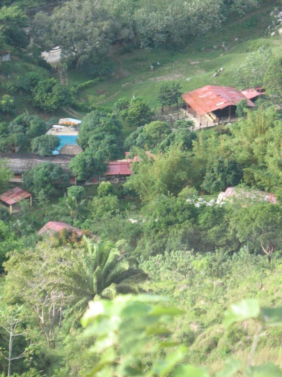 Photo 45