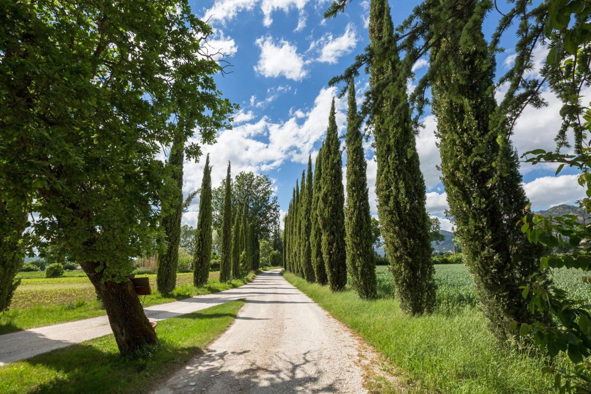 Agriturismo Casella Del Piano