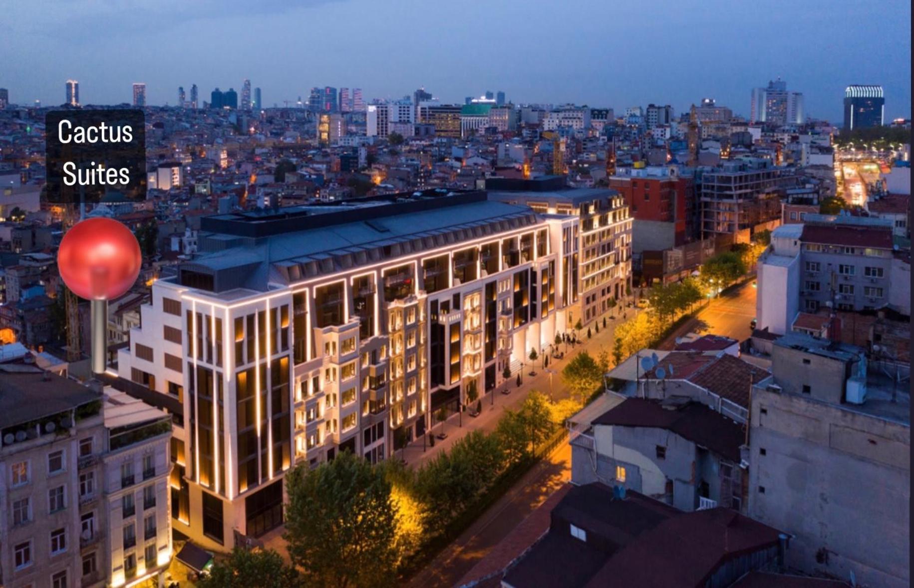 Cactus Süitler - Image 18