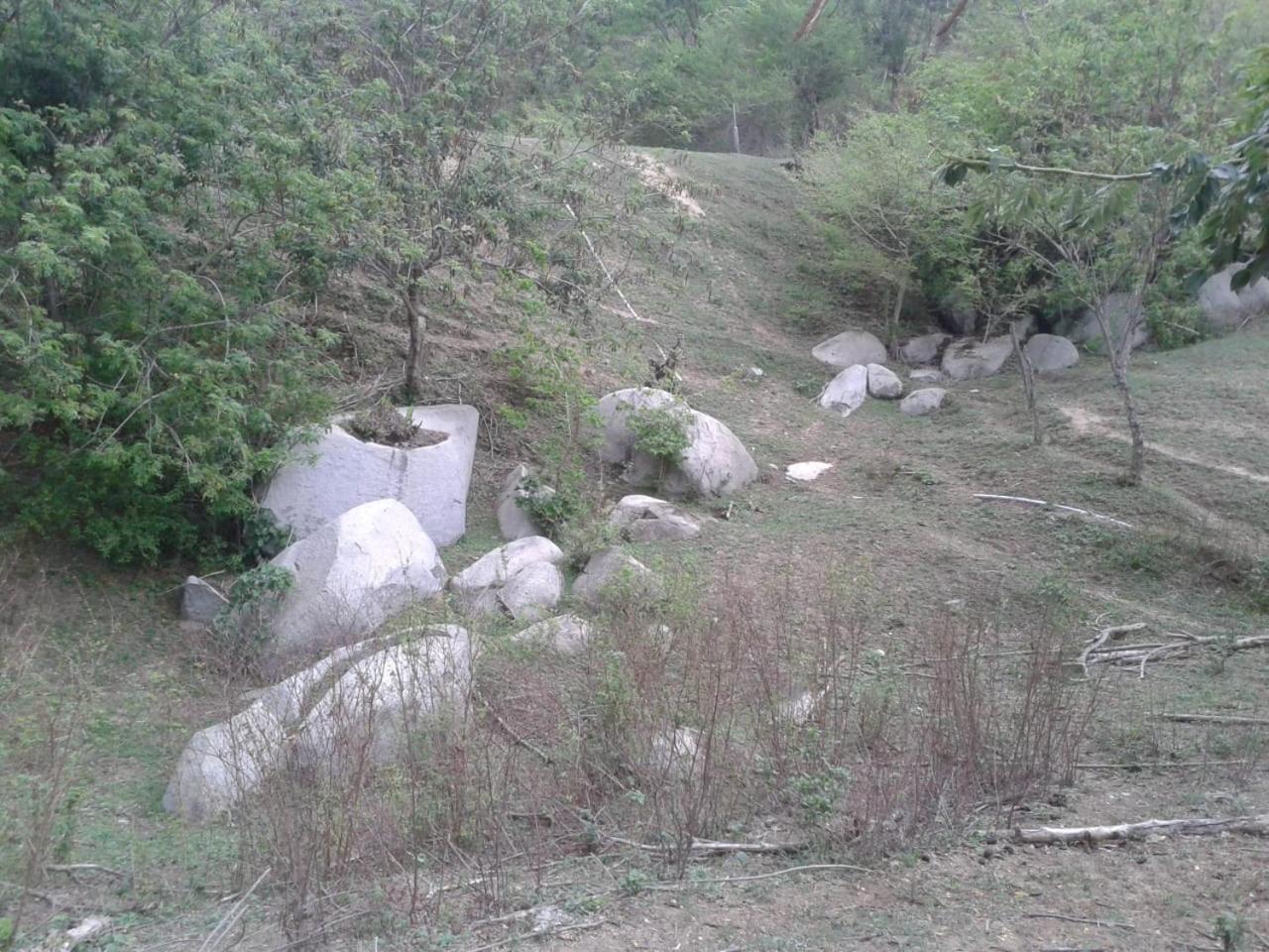 Photo 46