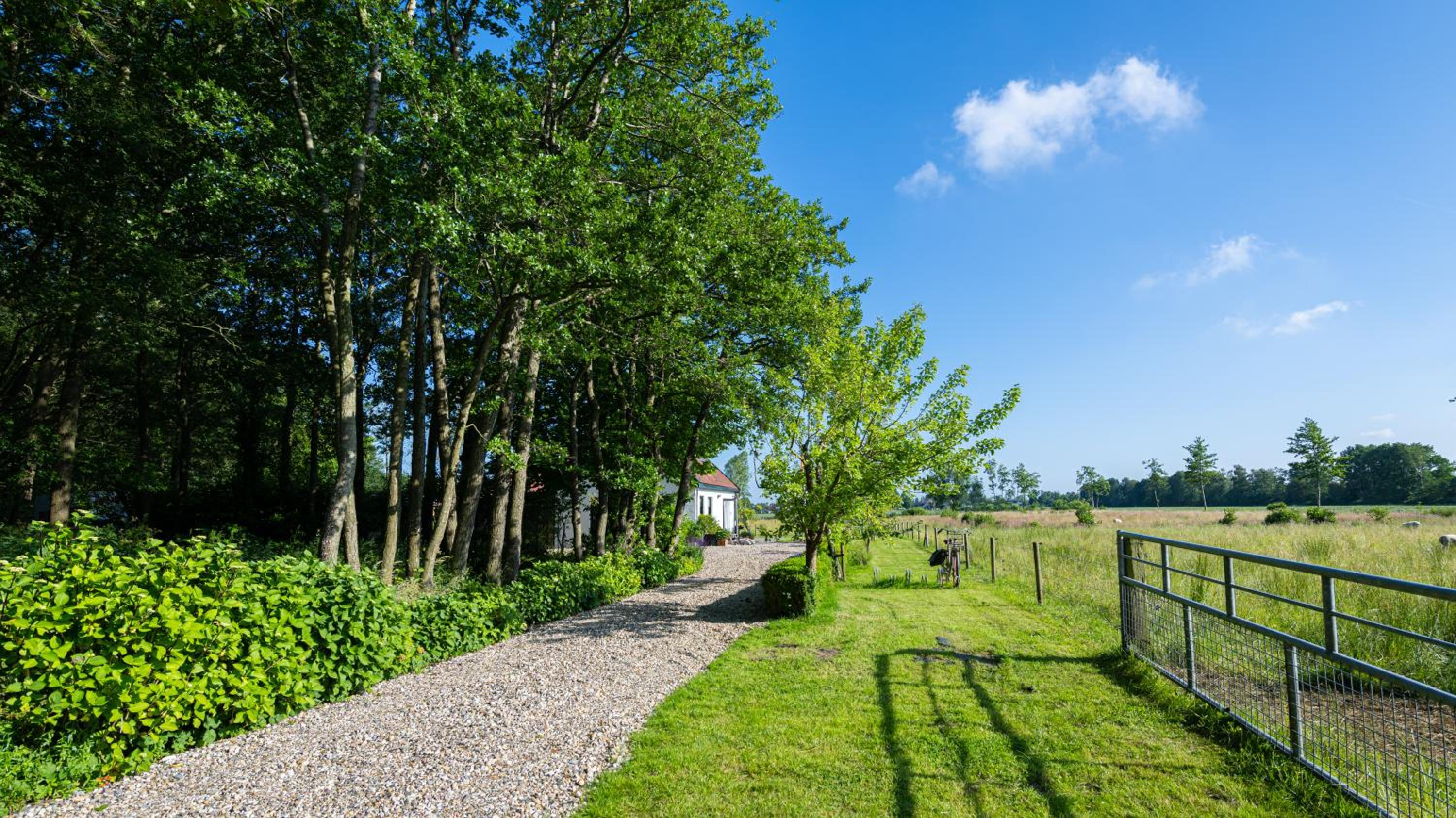 Photo 28
