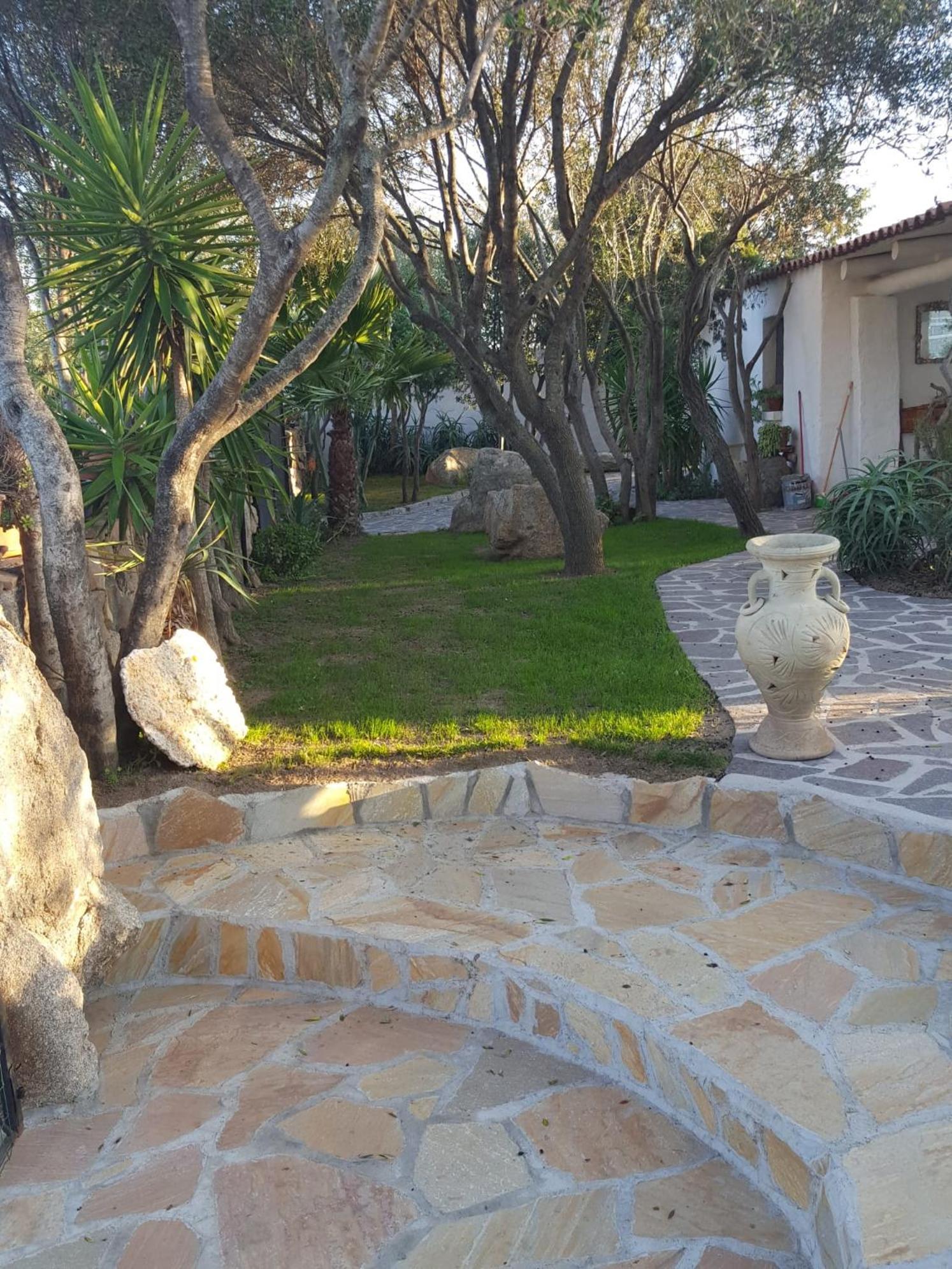 Photo 37