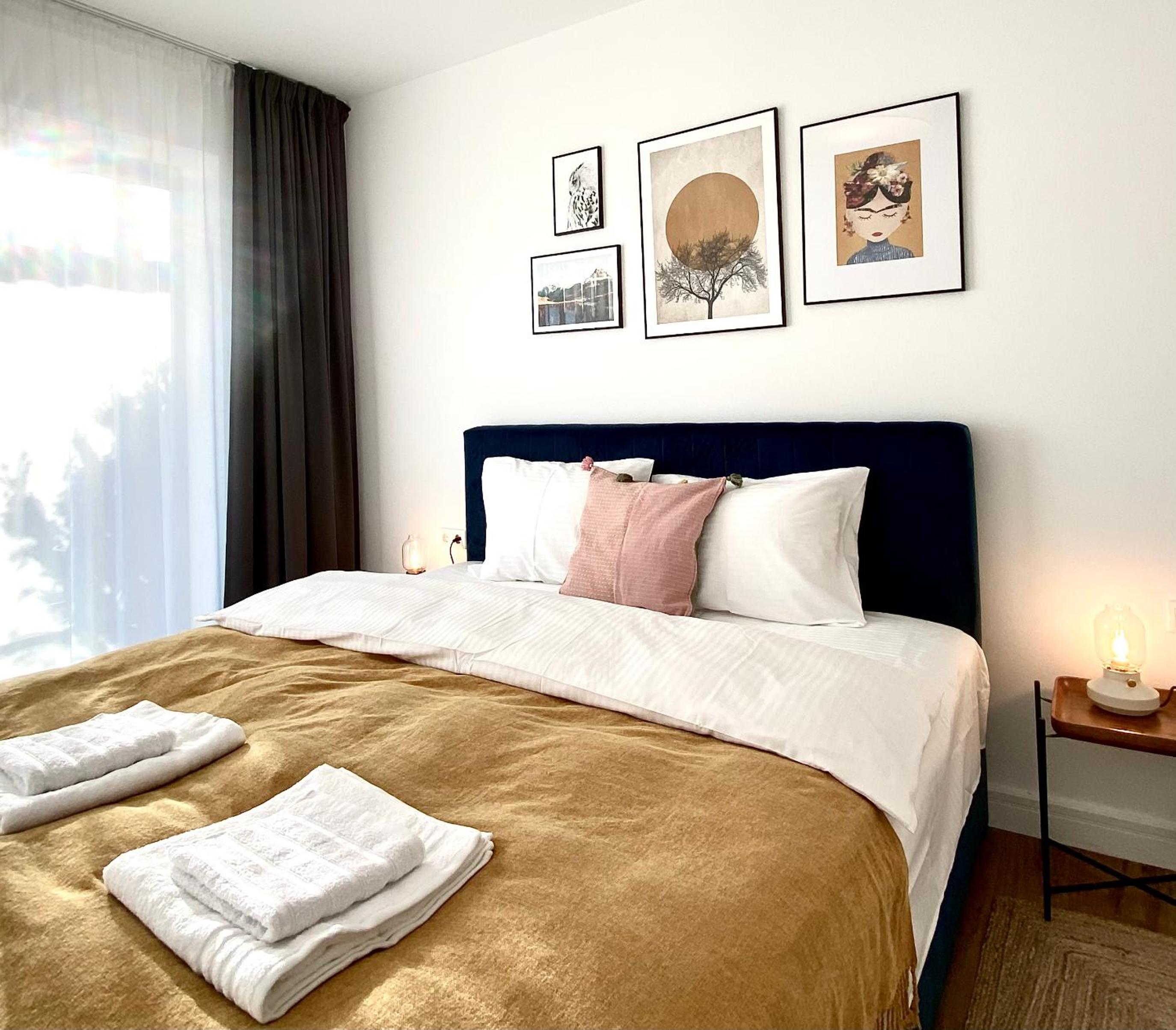Cosy Hollow - Pet Friendly view 2