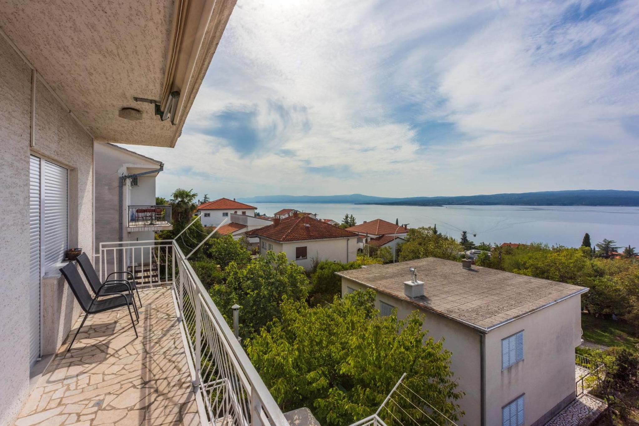 ZVEK view 4