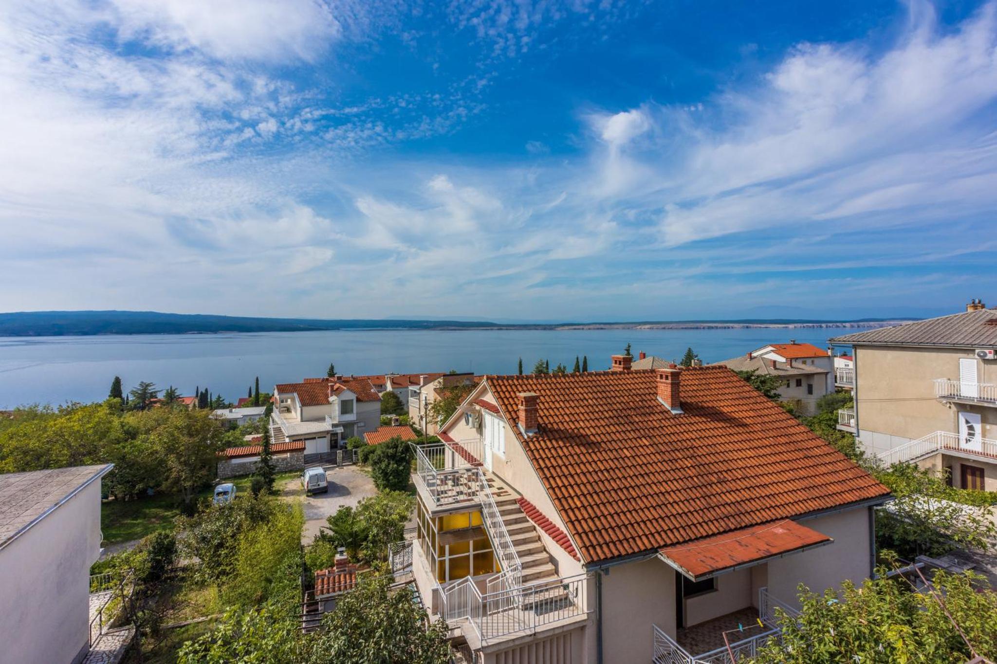 ZVEK view 5
