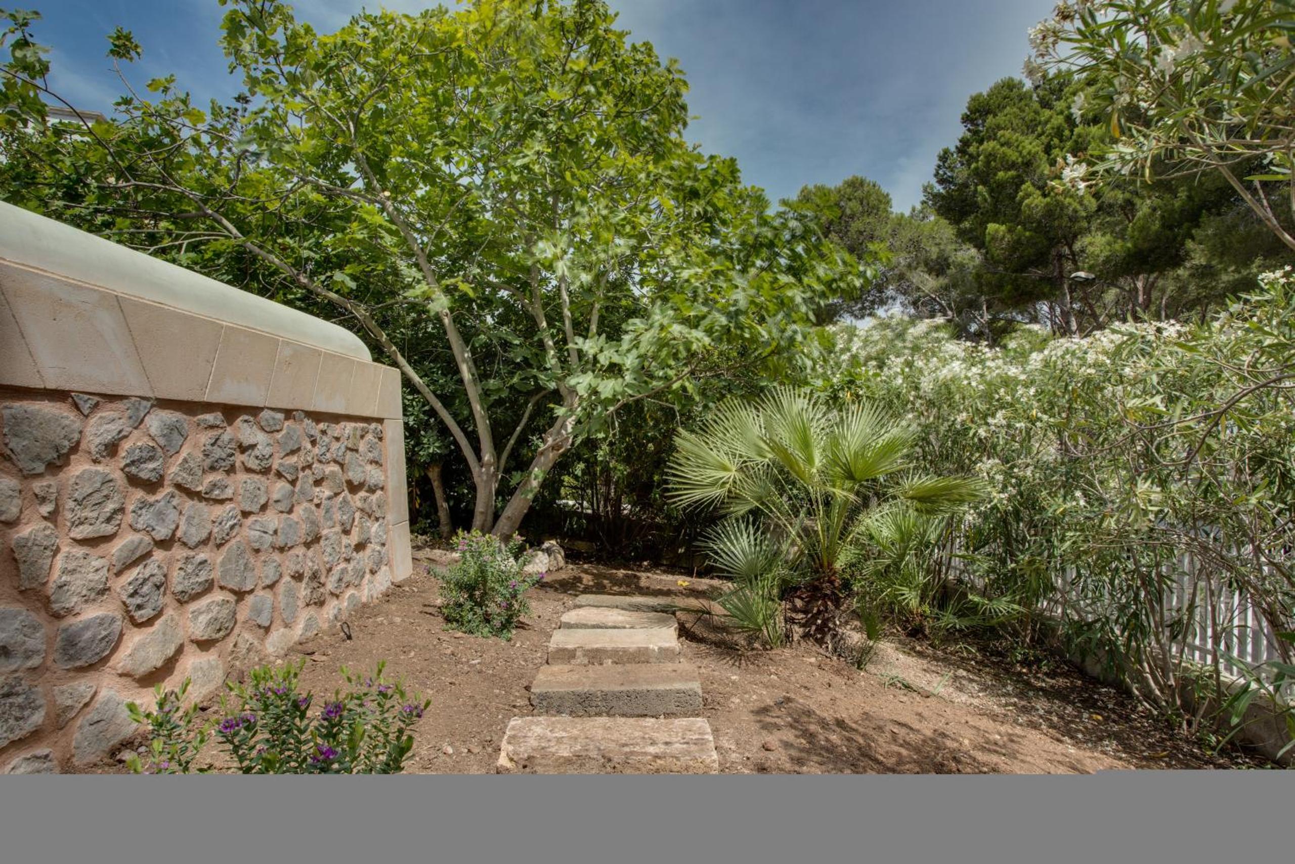 Ideal Property Mallorca - Padri view 5