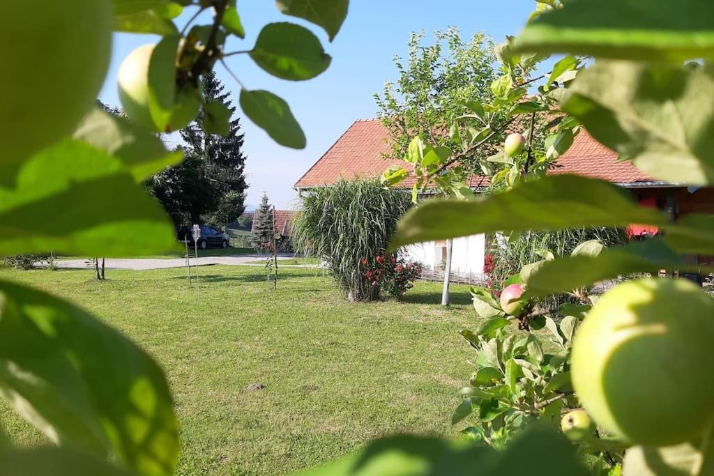 Photo 28