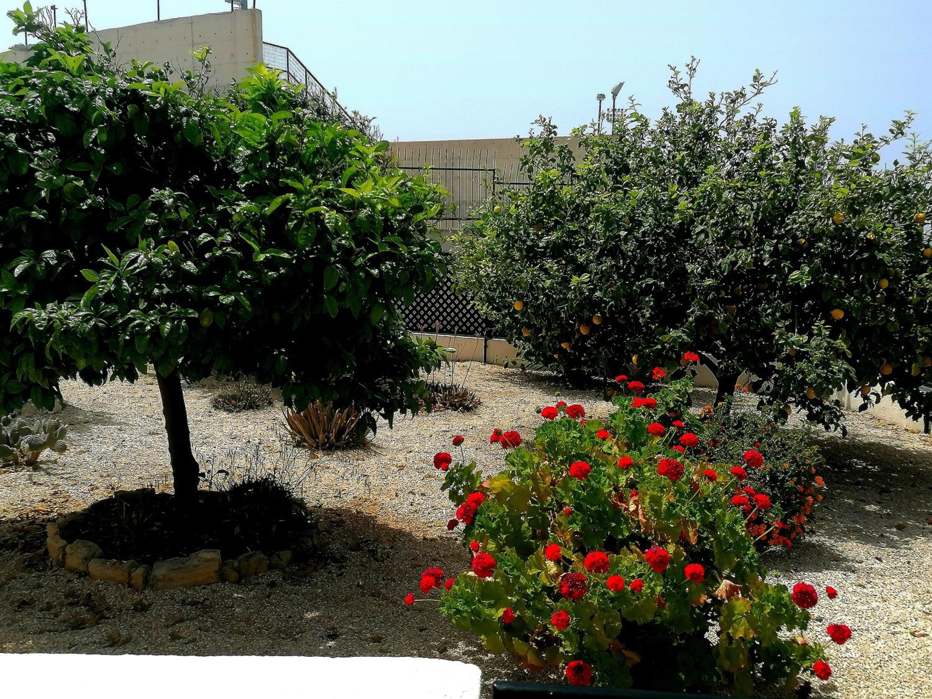 A Heaven on Earth Ενας επιγειος παραδεισος