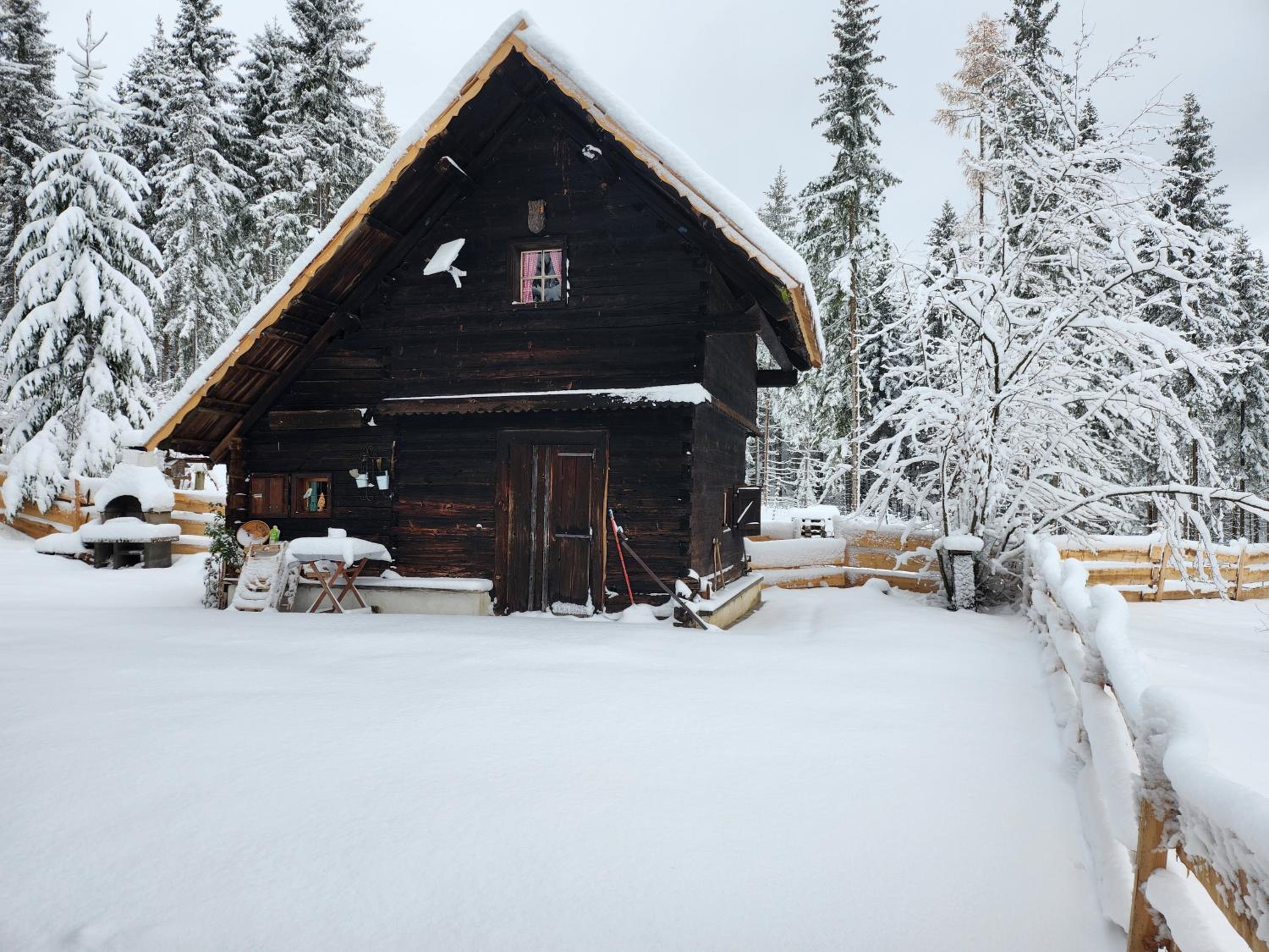 Urige Waldbienenhütte