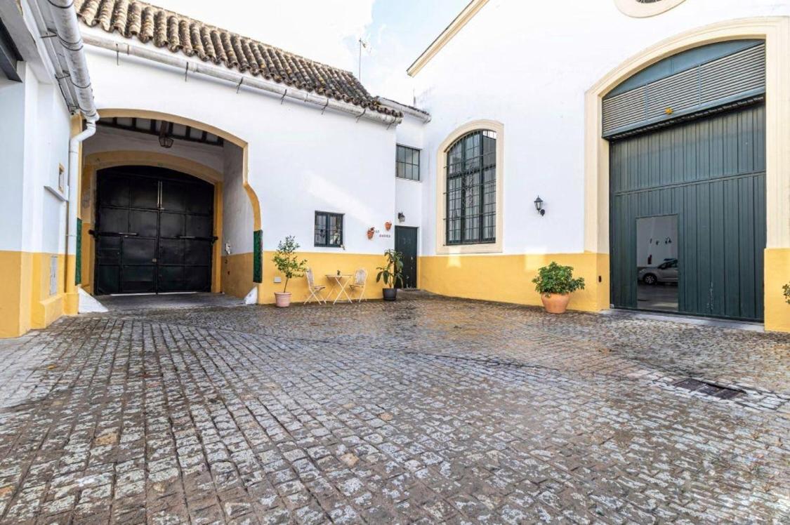 Loft Bodega San Blas con porche y parking view 3