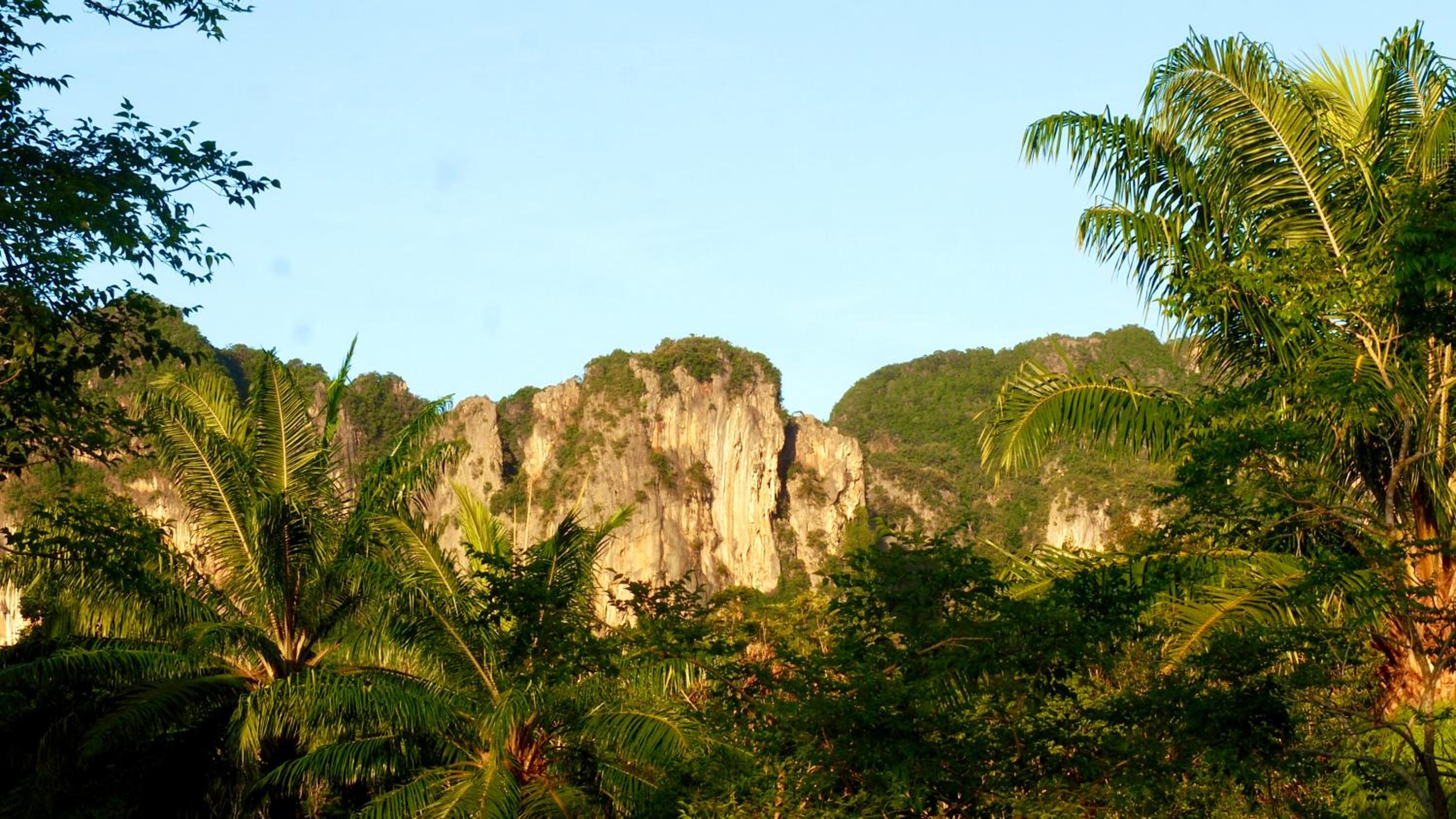 Photo 50