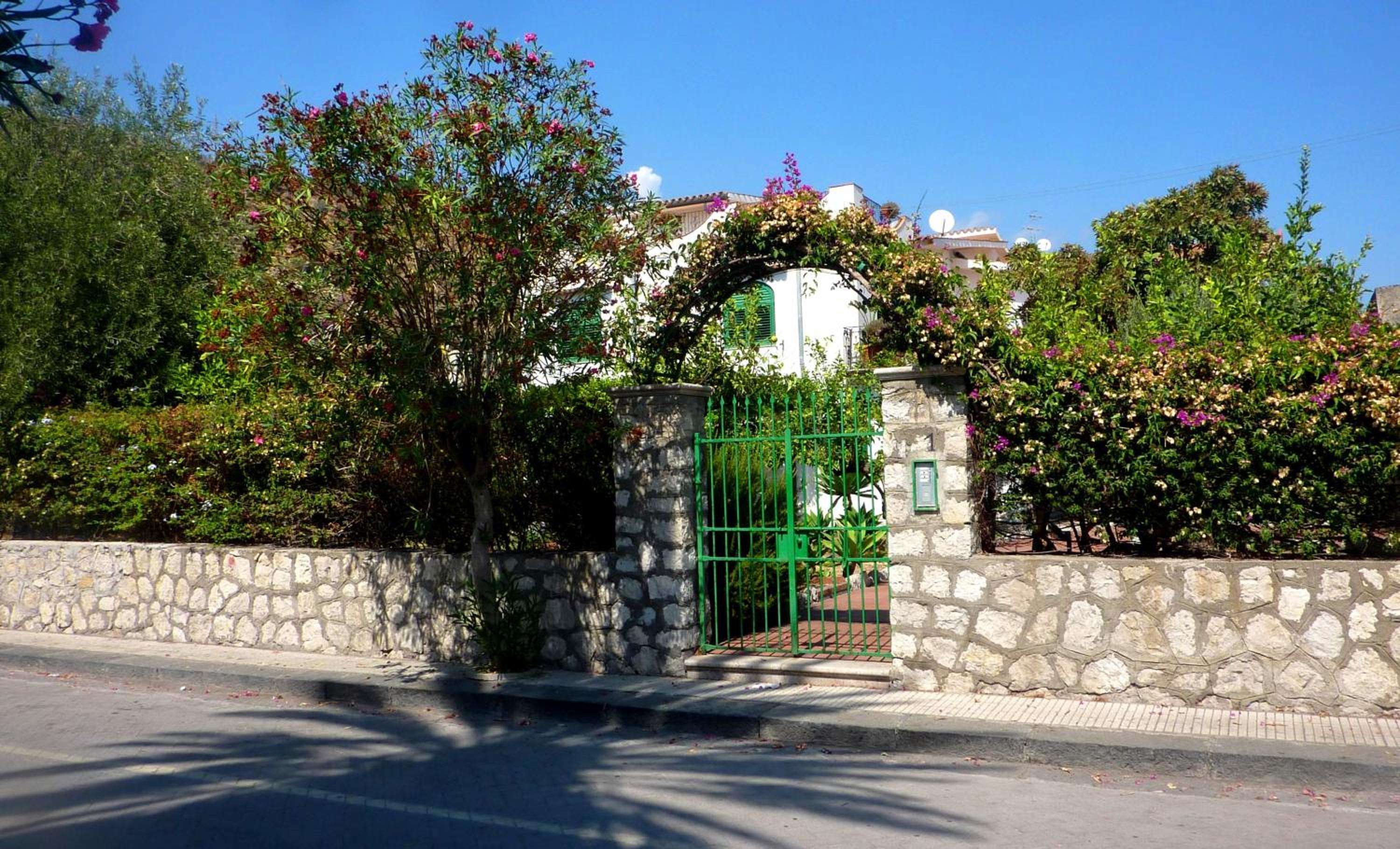 Photo 19