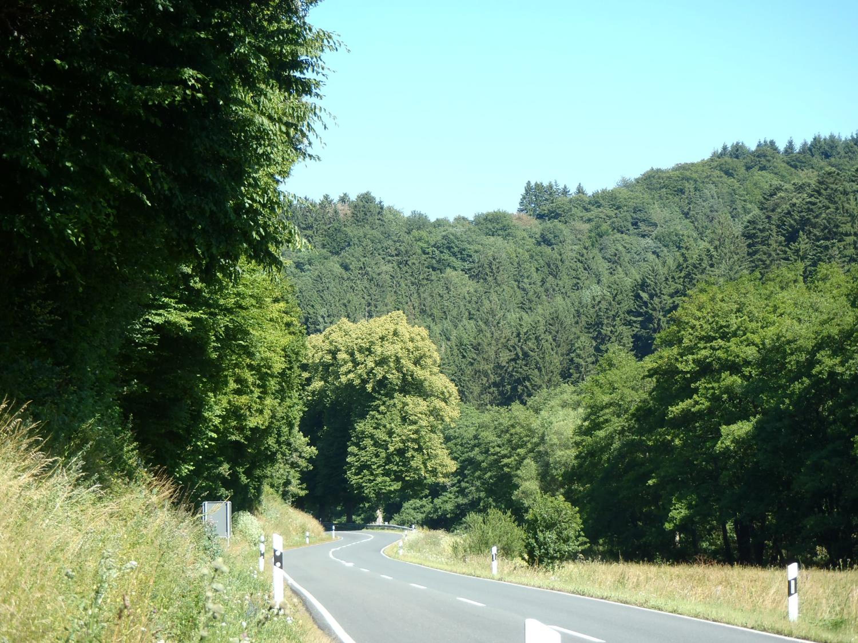 Photo 44
