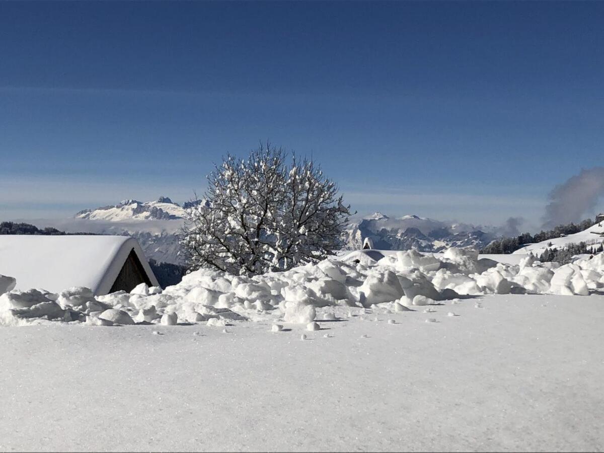 Walli Laterns - Ski und Bergvergnügen direkt vor der Haustür