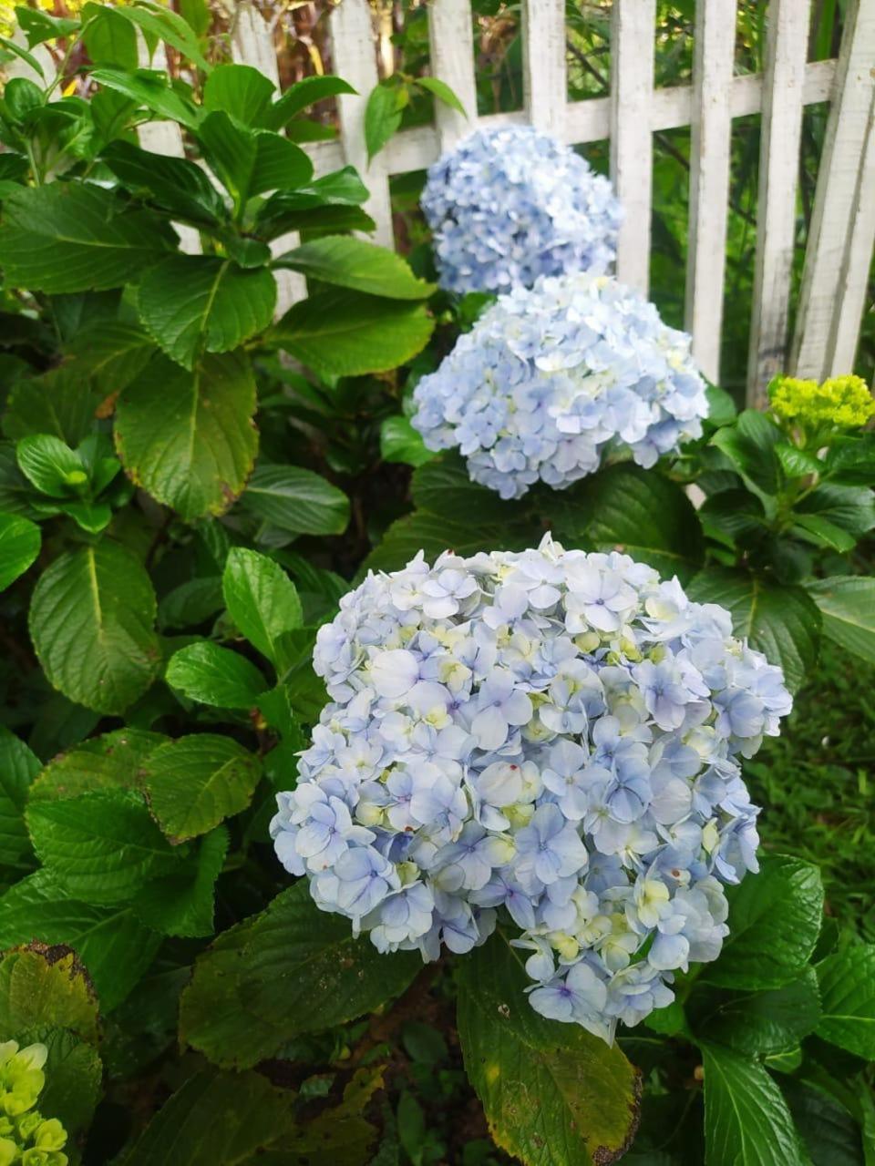 Photo 33
