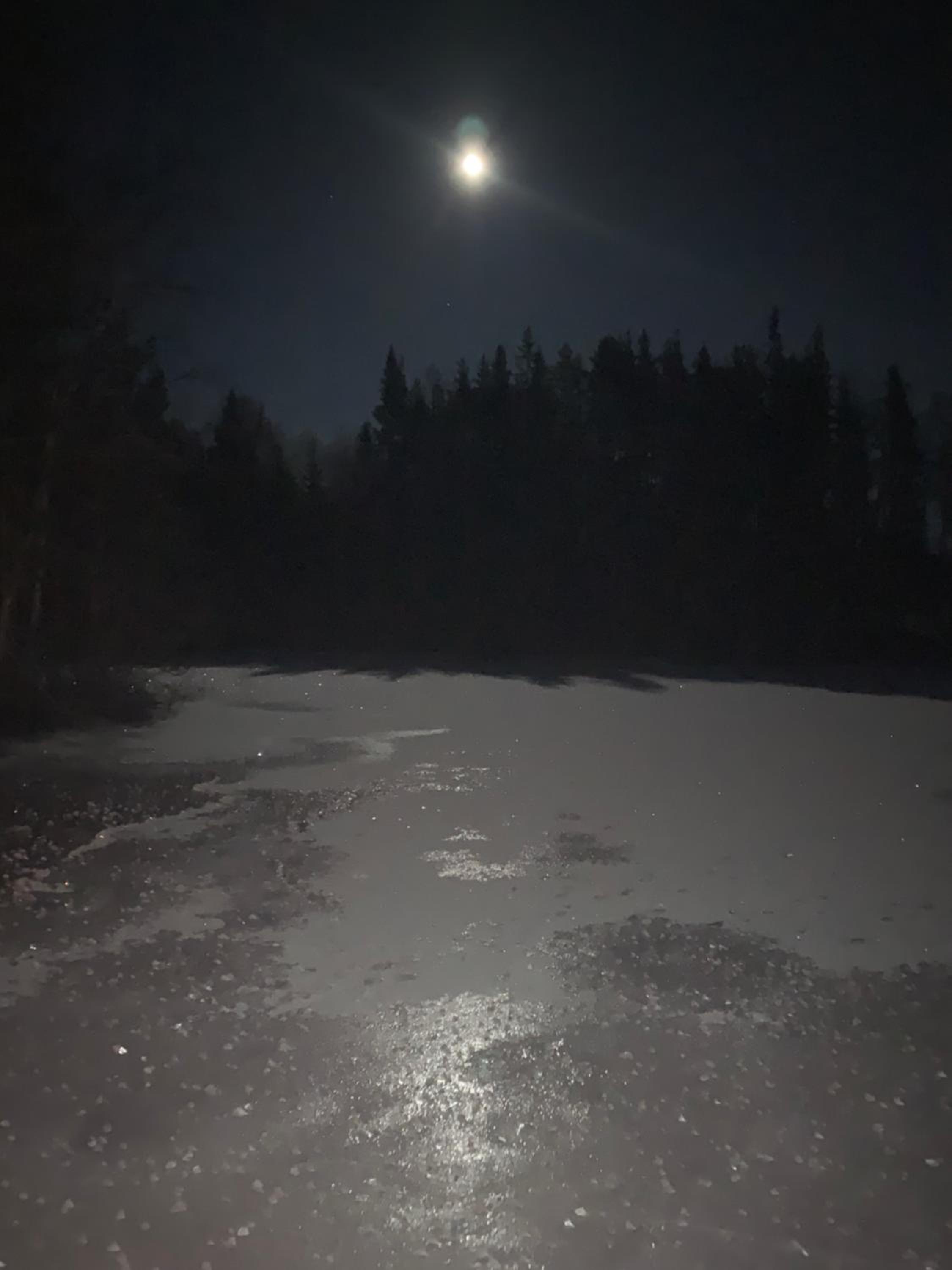 Lövåsen