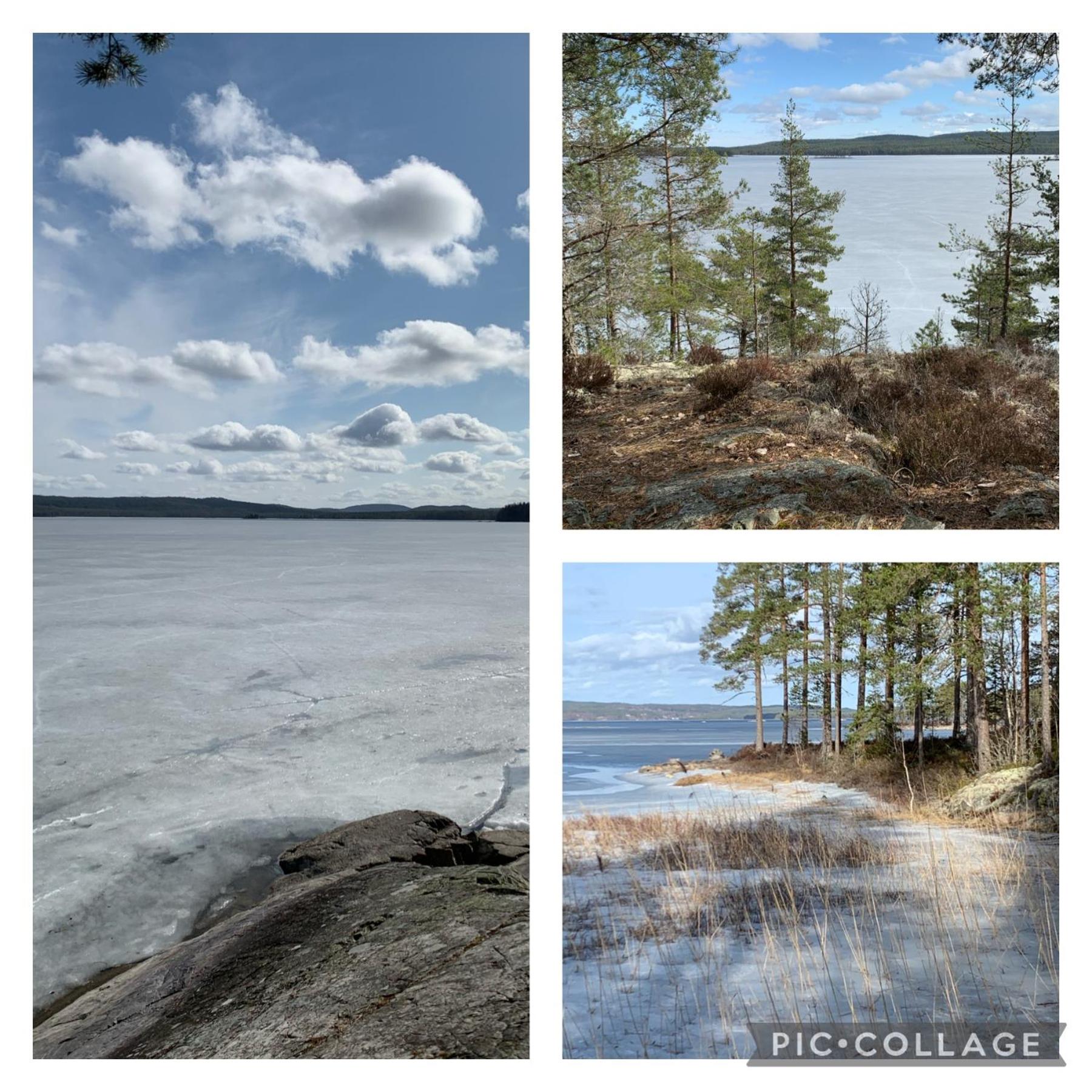 Lövåsen