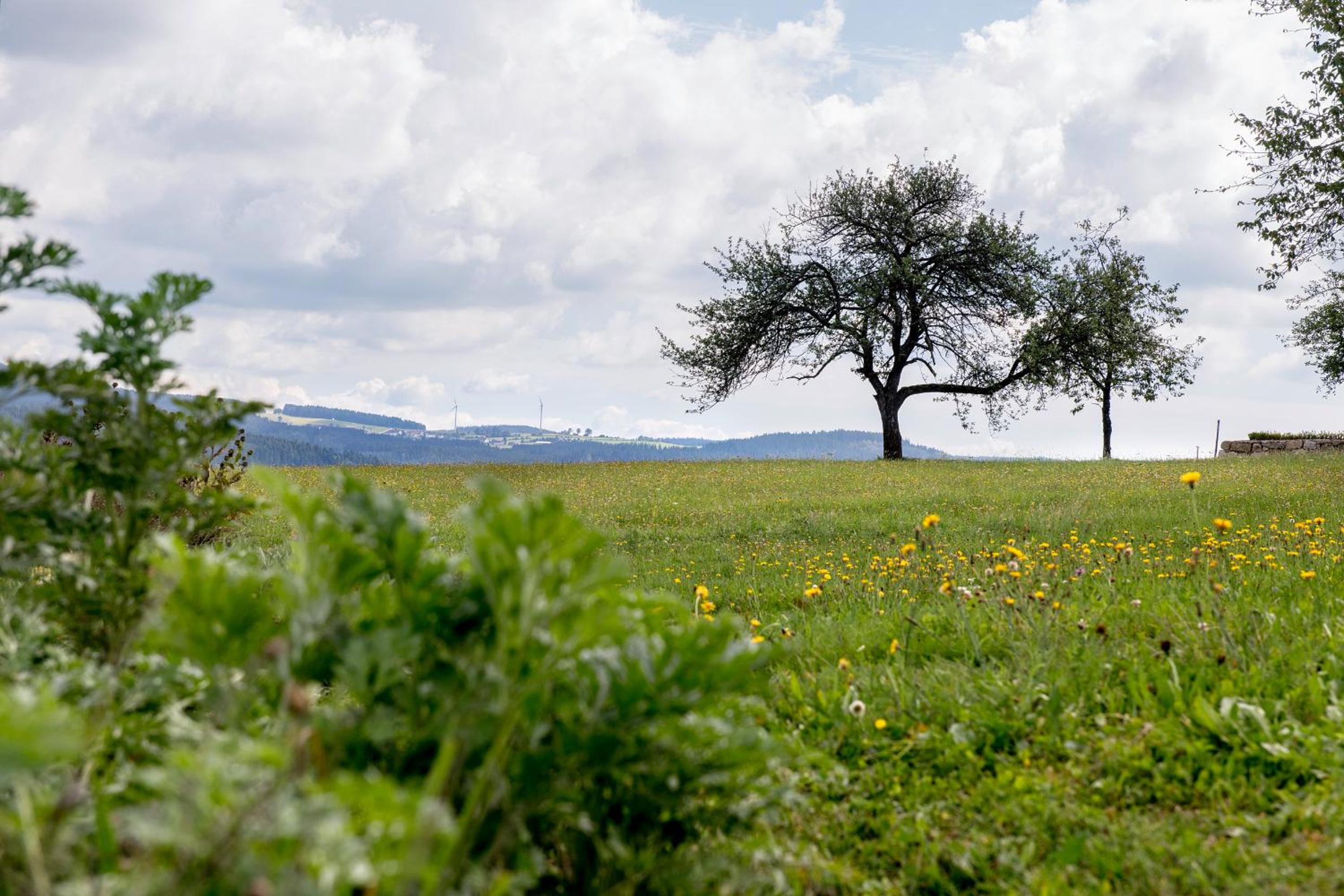 Biberhof im Mühlviertel