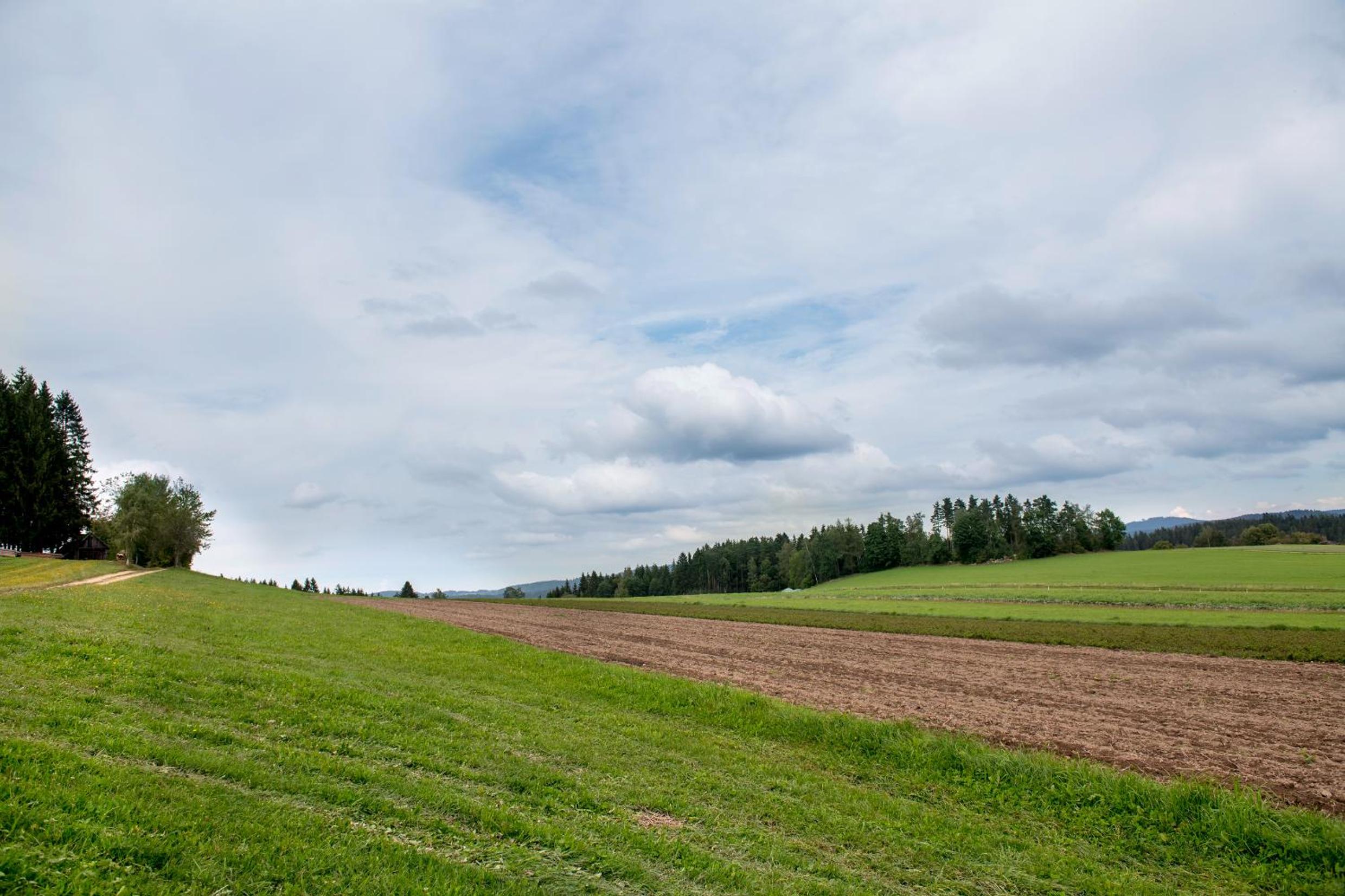 Biberhof im Mühlviertel