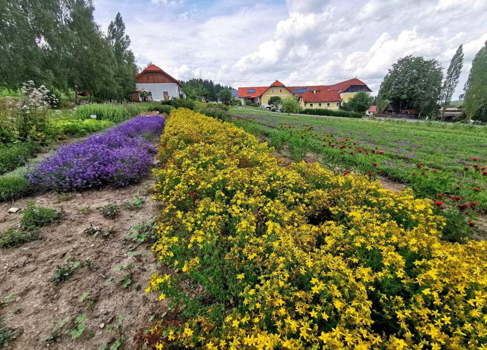 Biberhof im Mühlviertel