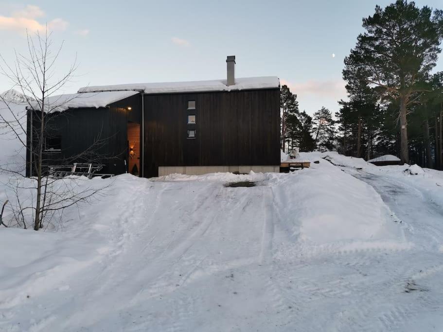 Huset ved skogen view 2