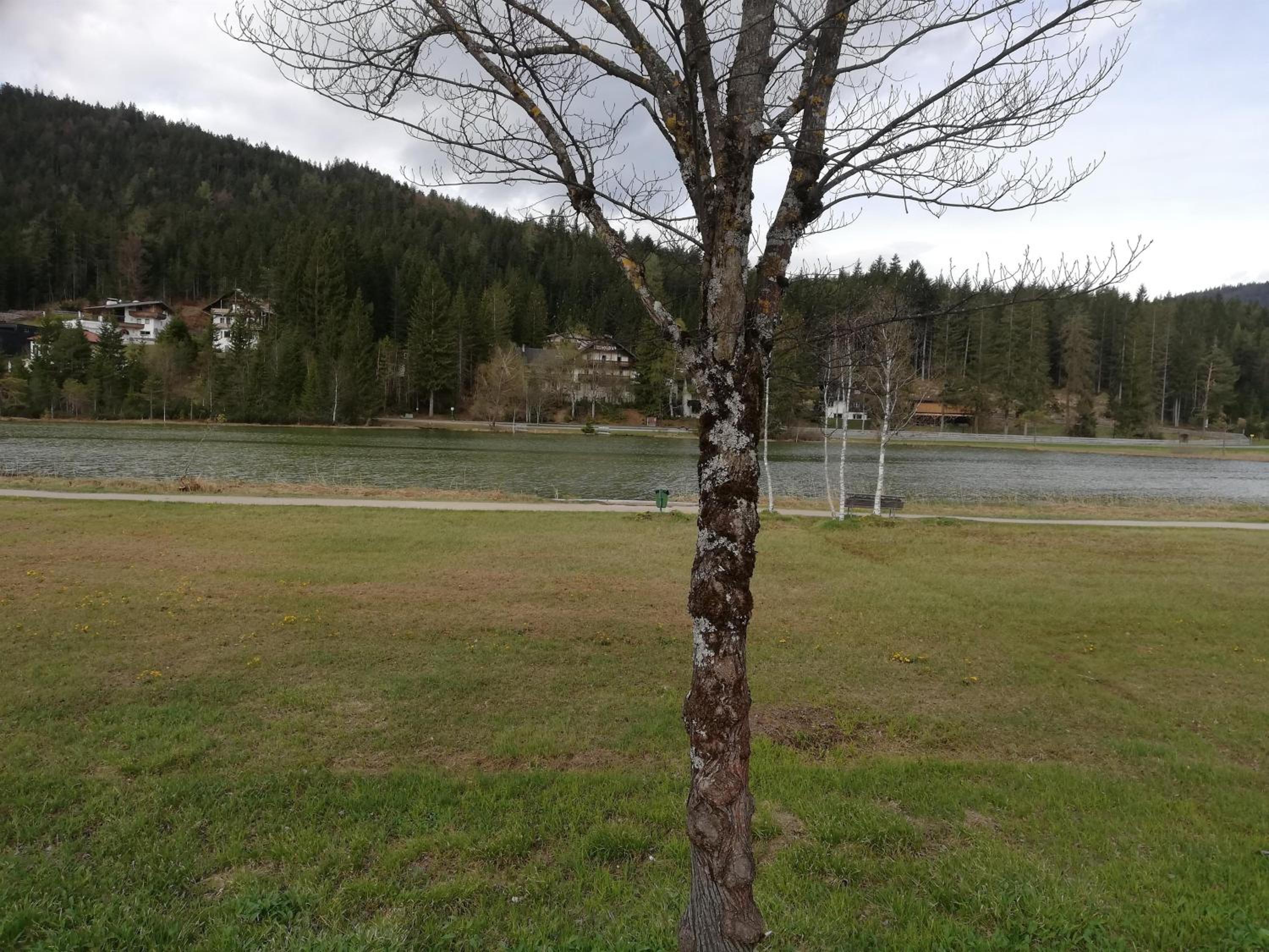 Ferienwohnung am Waldweg