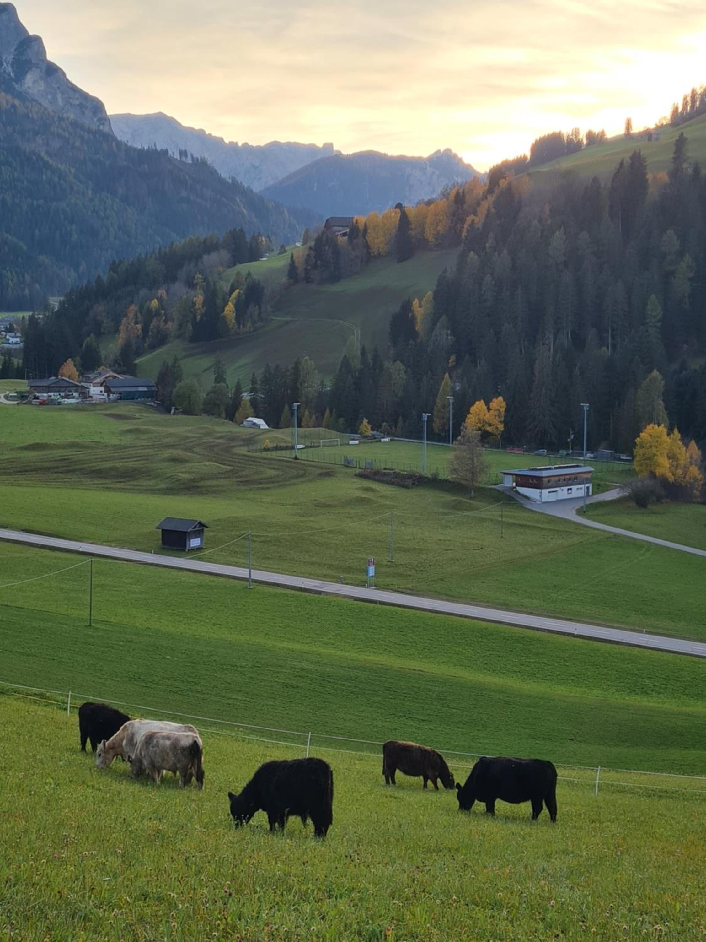 Biohof Untergröber