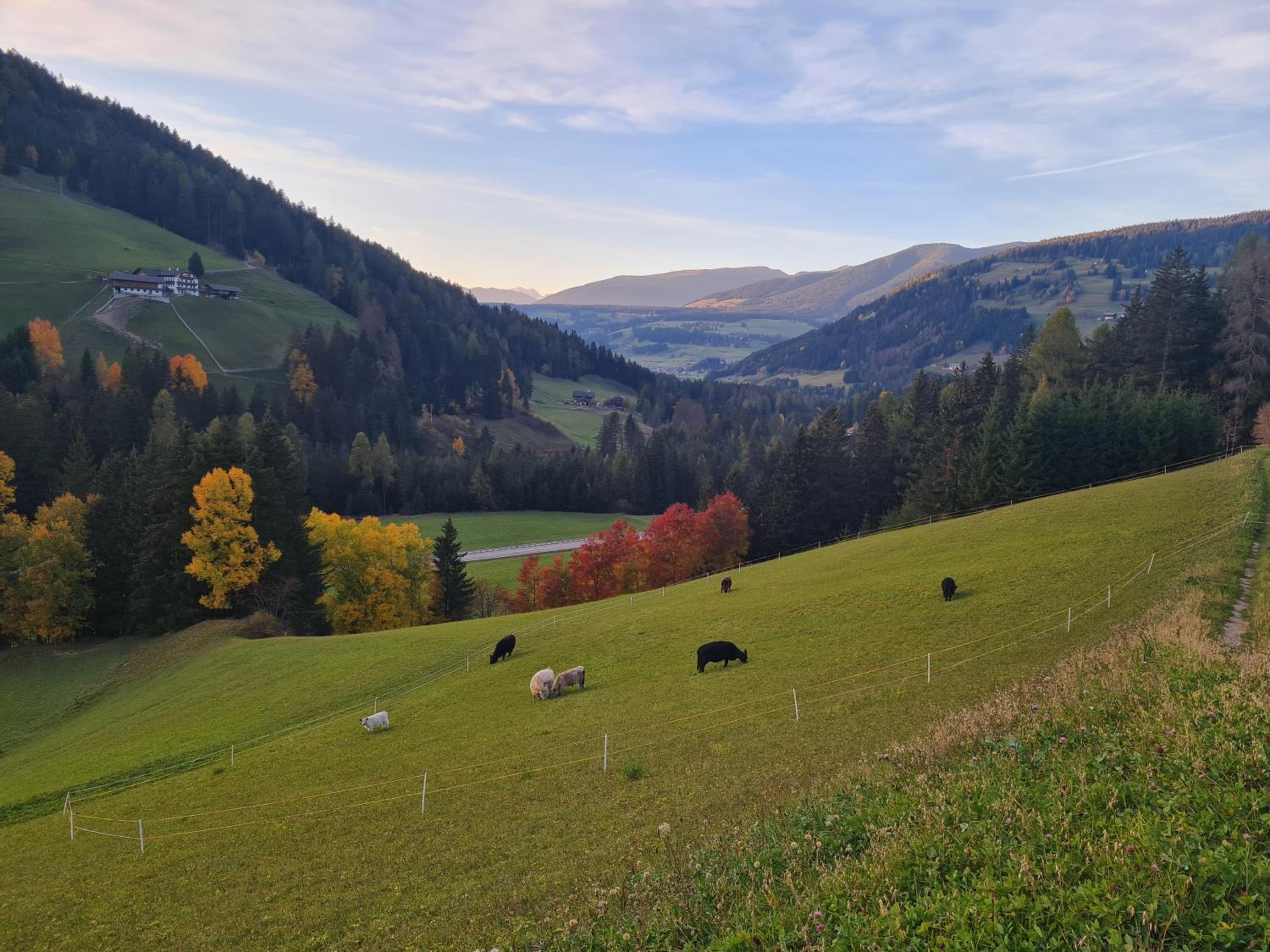 Biohof Untergröber