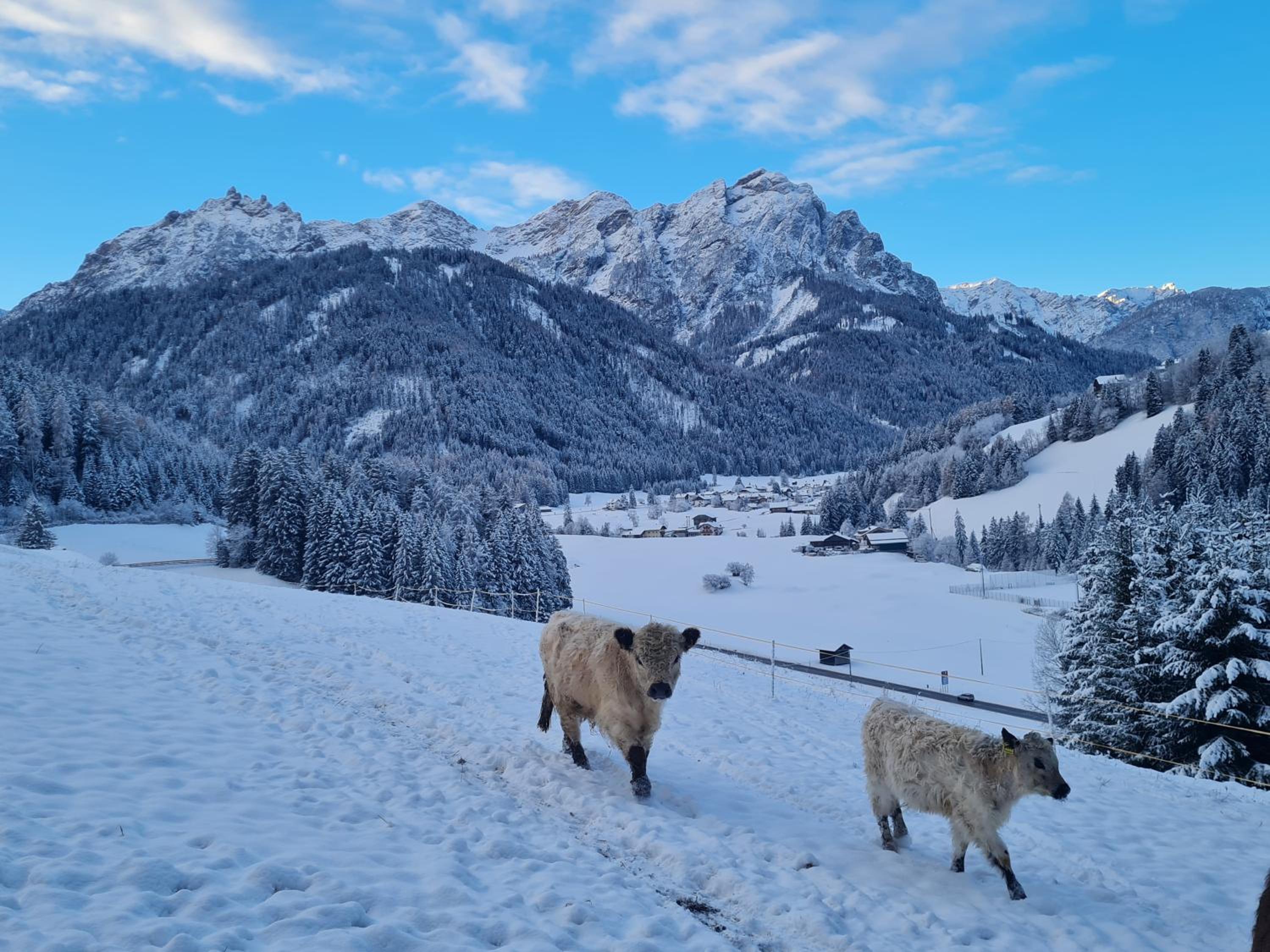 Biohof Untergröber