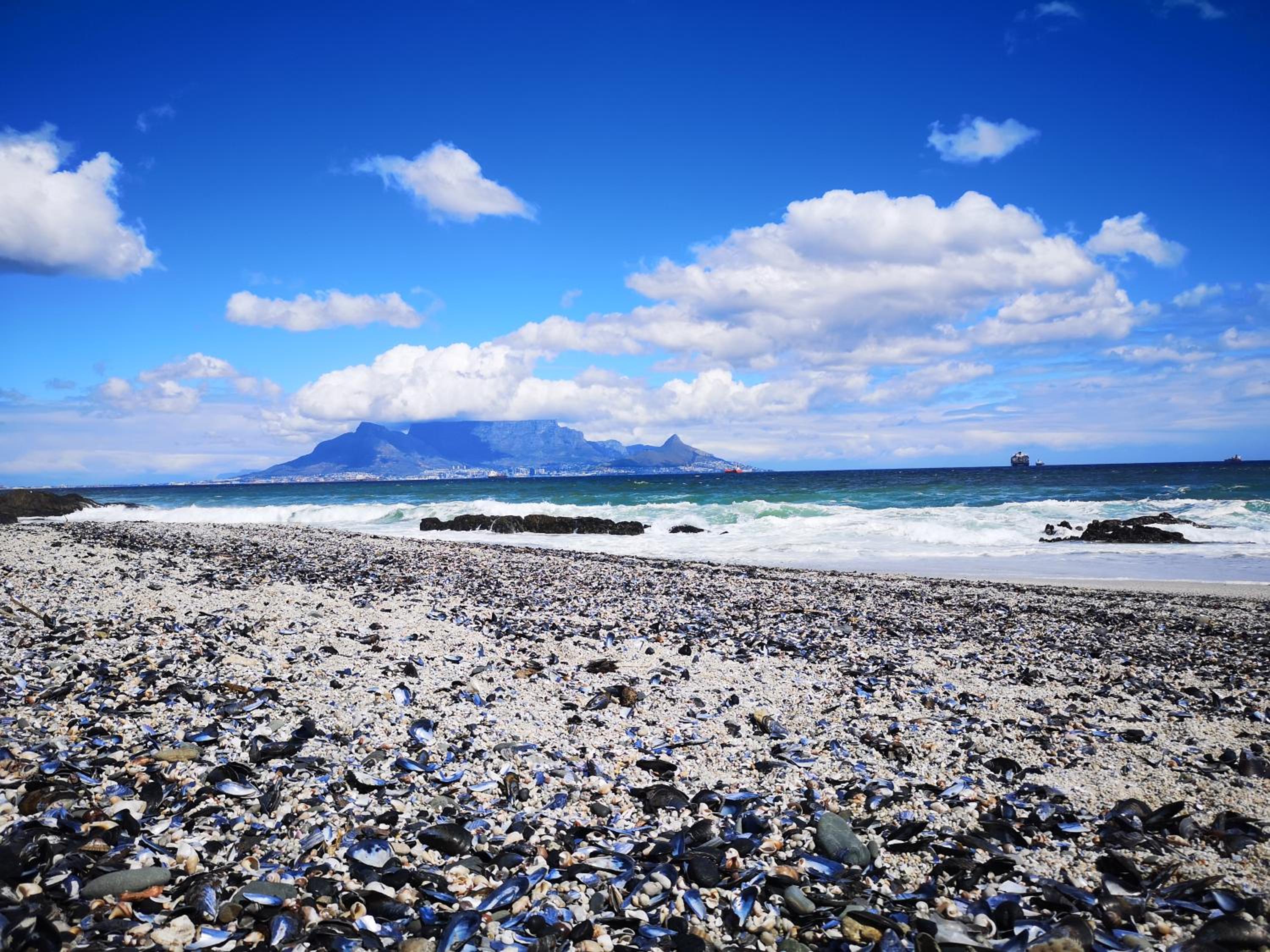 Blouberg Beach Luxury Apartment